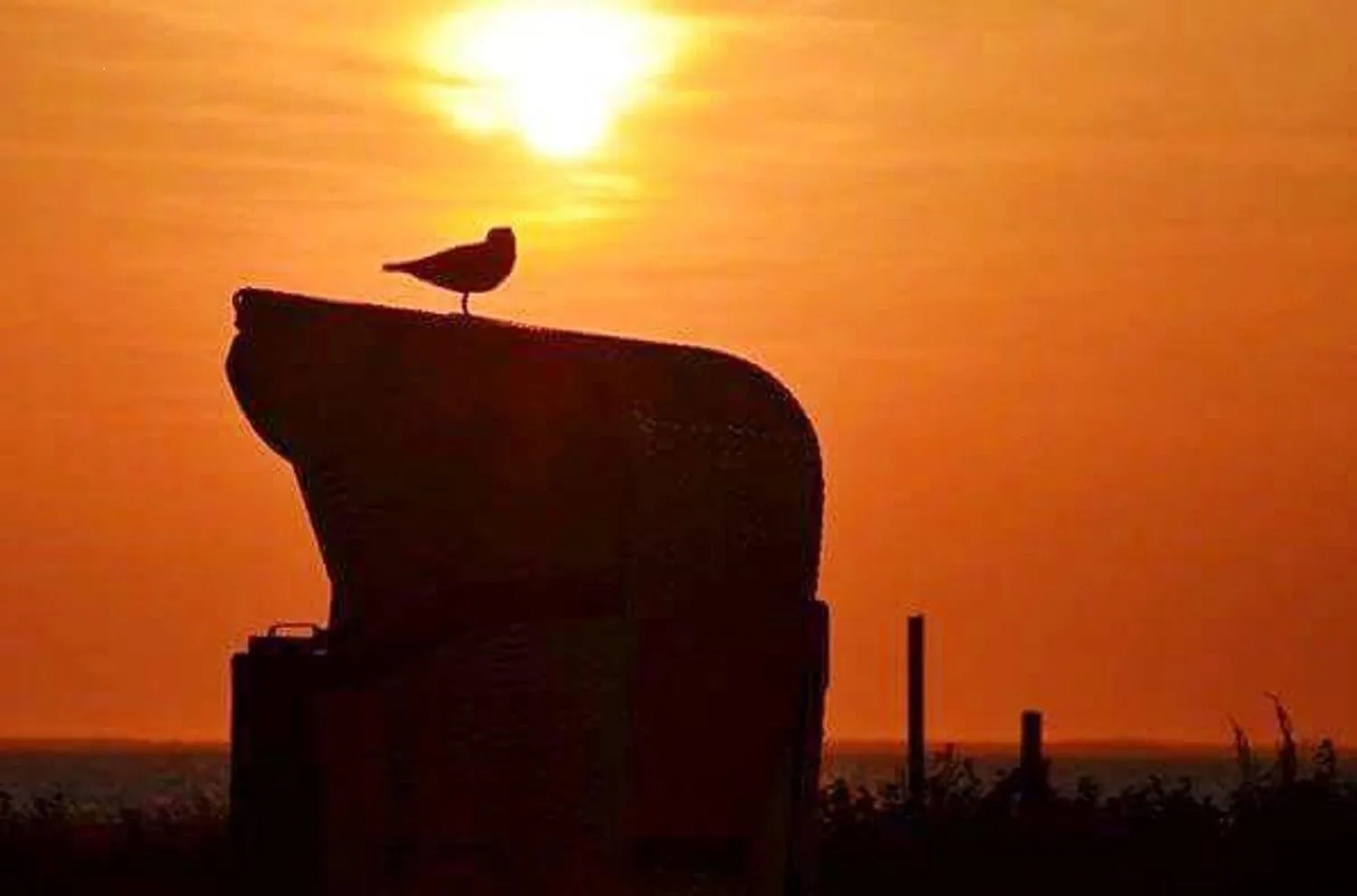 Natural landscape in Hotel Up Diek