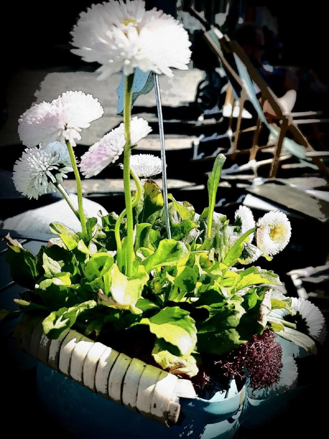 Natural landscape in Hotel Up Diek