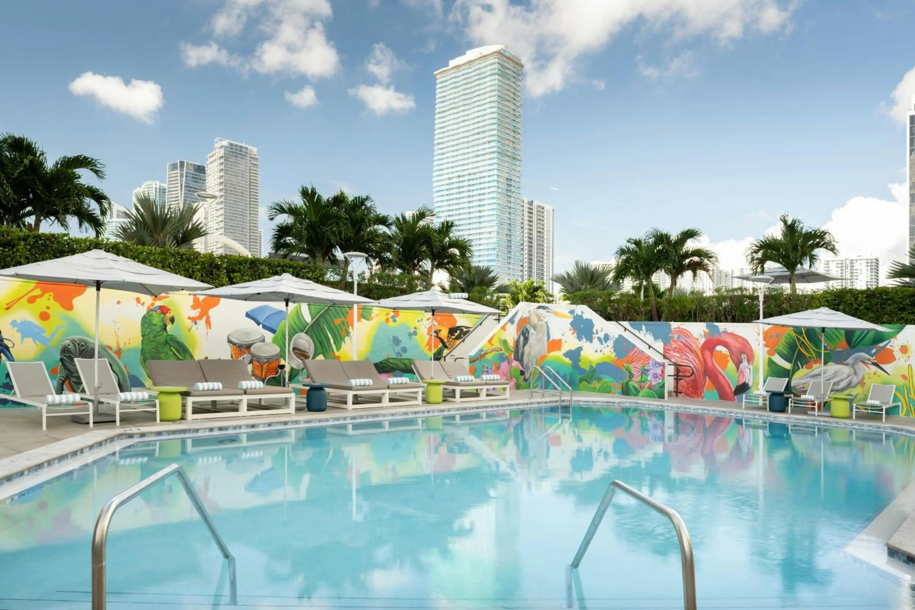 Swimming pool in Miami Marriott Biscayne Bay
