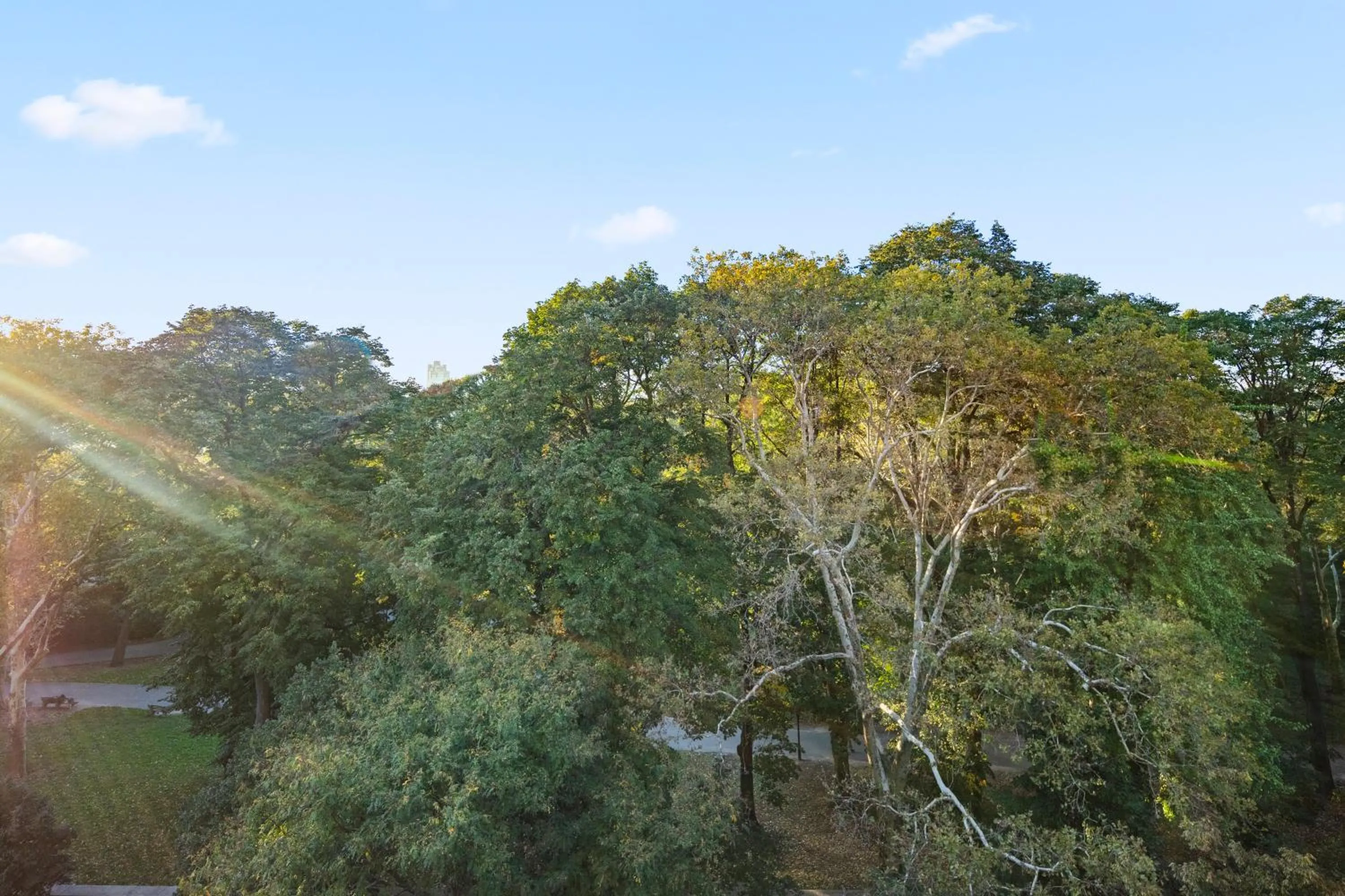 View (from property/room) in Riverside Tower Hotel