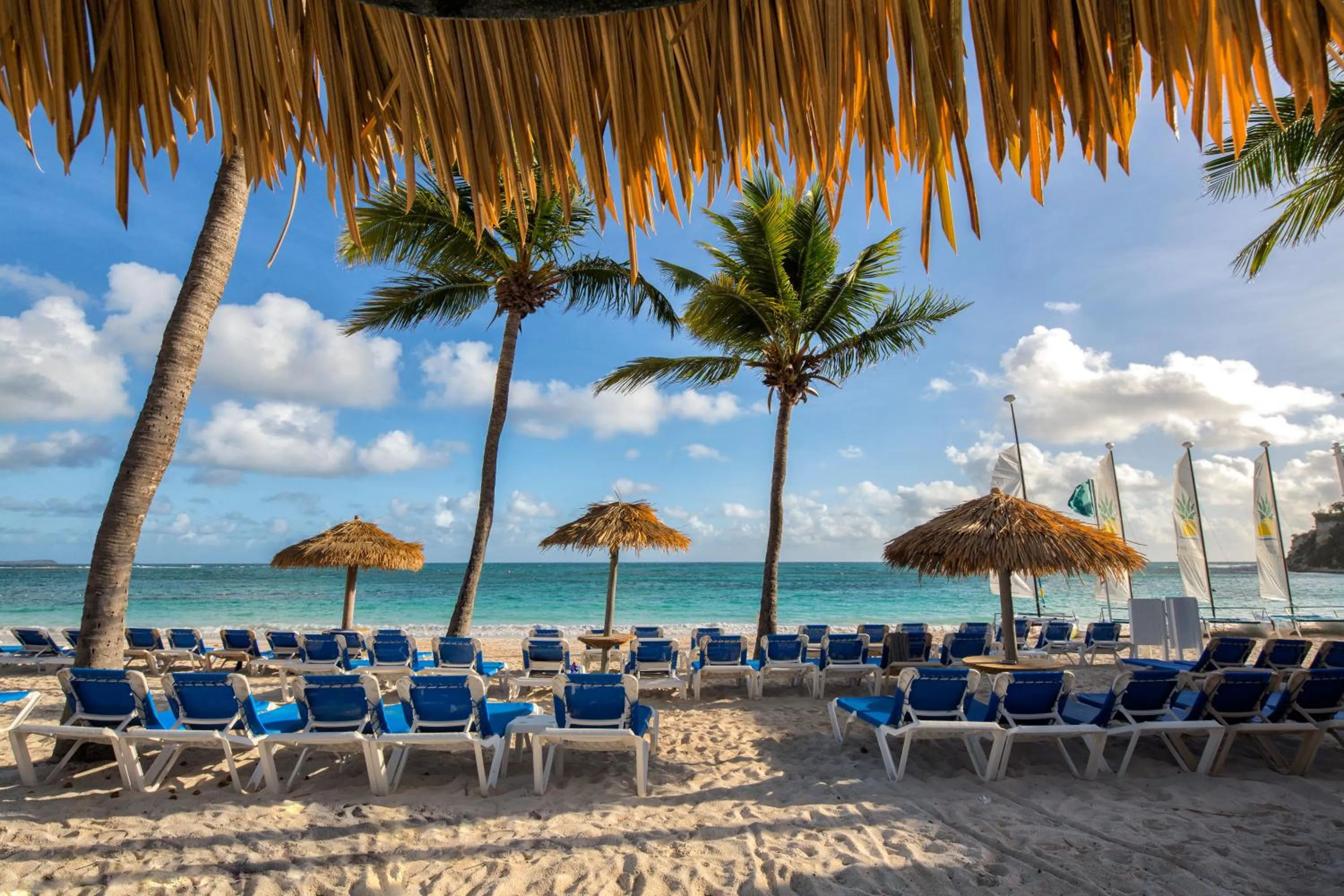 Beach in Pineapple Beach Club - All Inclusive - Adults Only