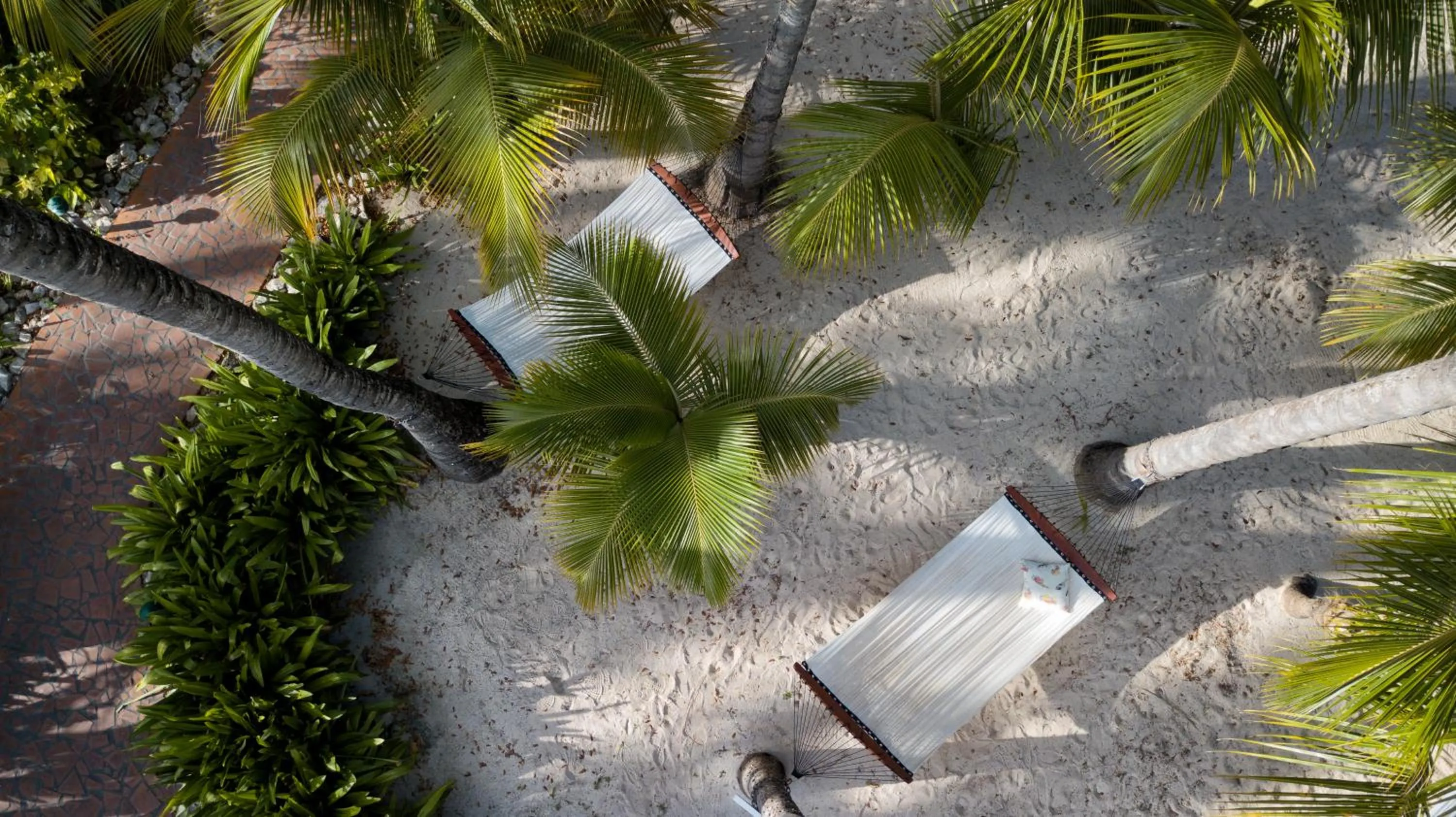 Activities in Pineapple Beach Club - All Inclusive - Adults Only