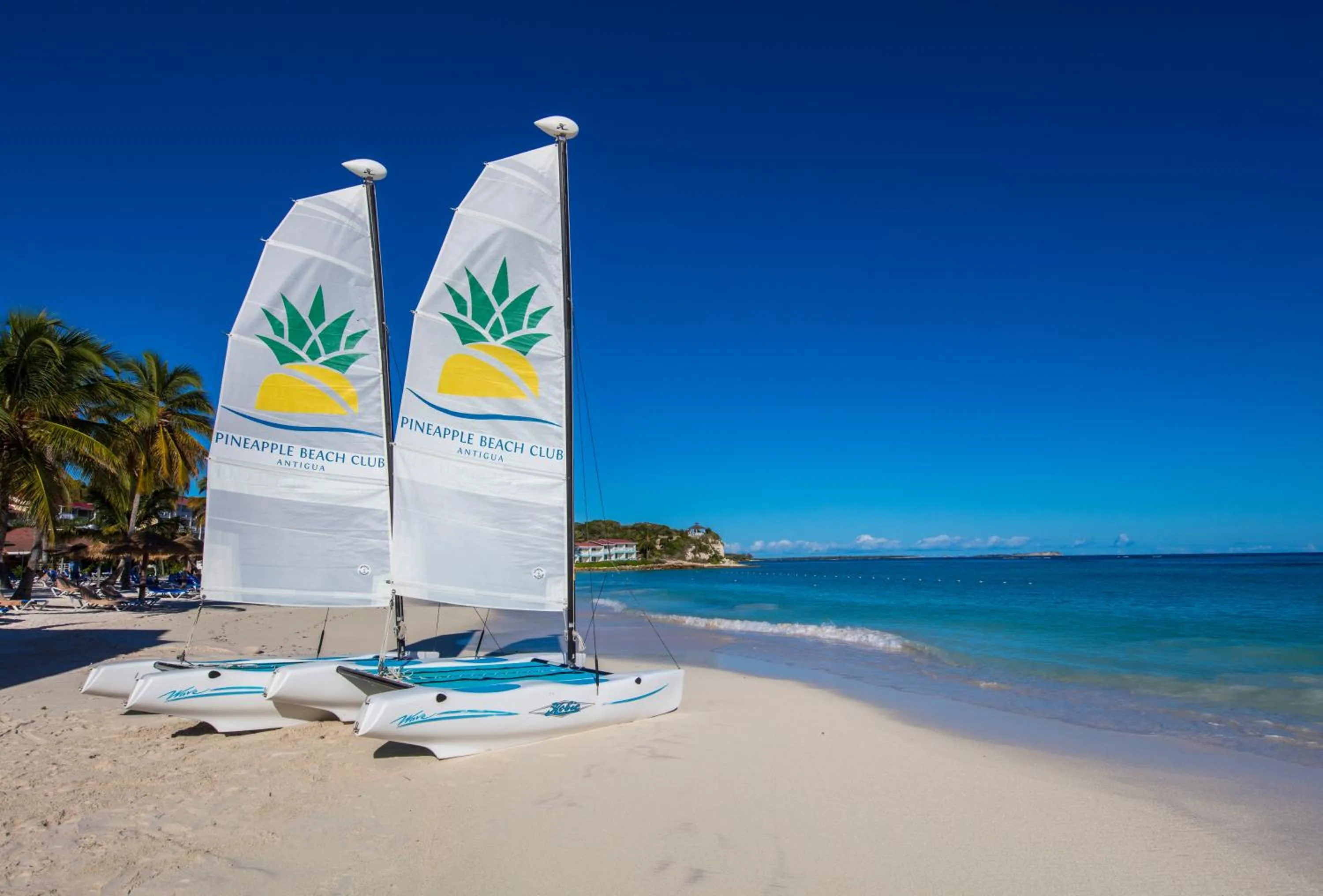 Activities in Pineapple Beach Club - All Inclusive - Adults Only