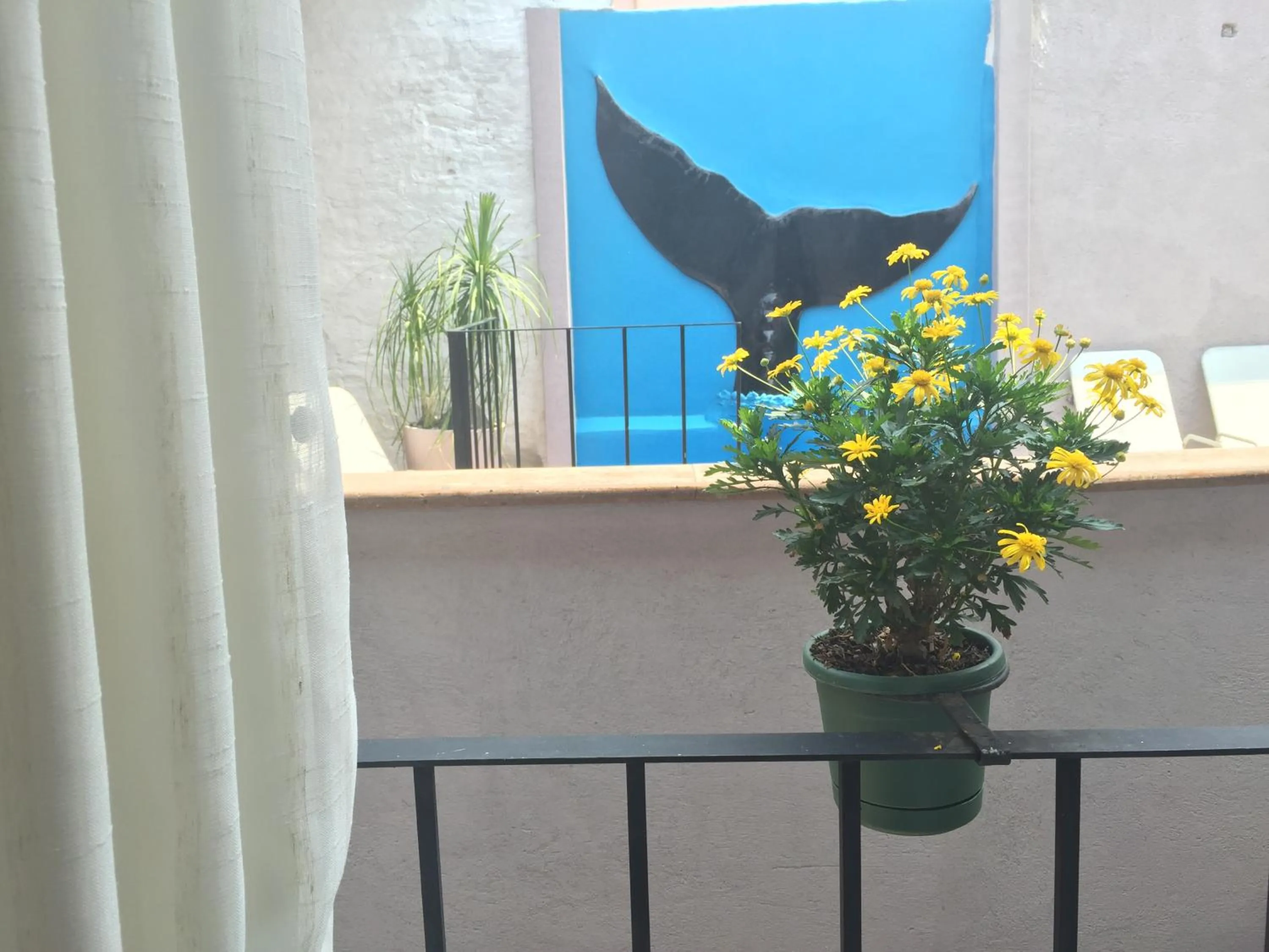 Decorative detail in Suites colibri