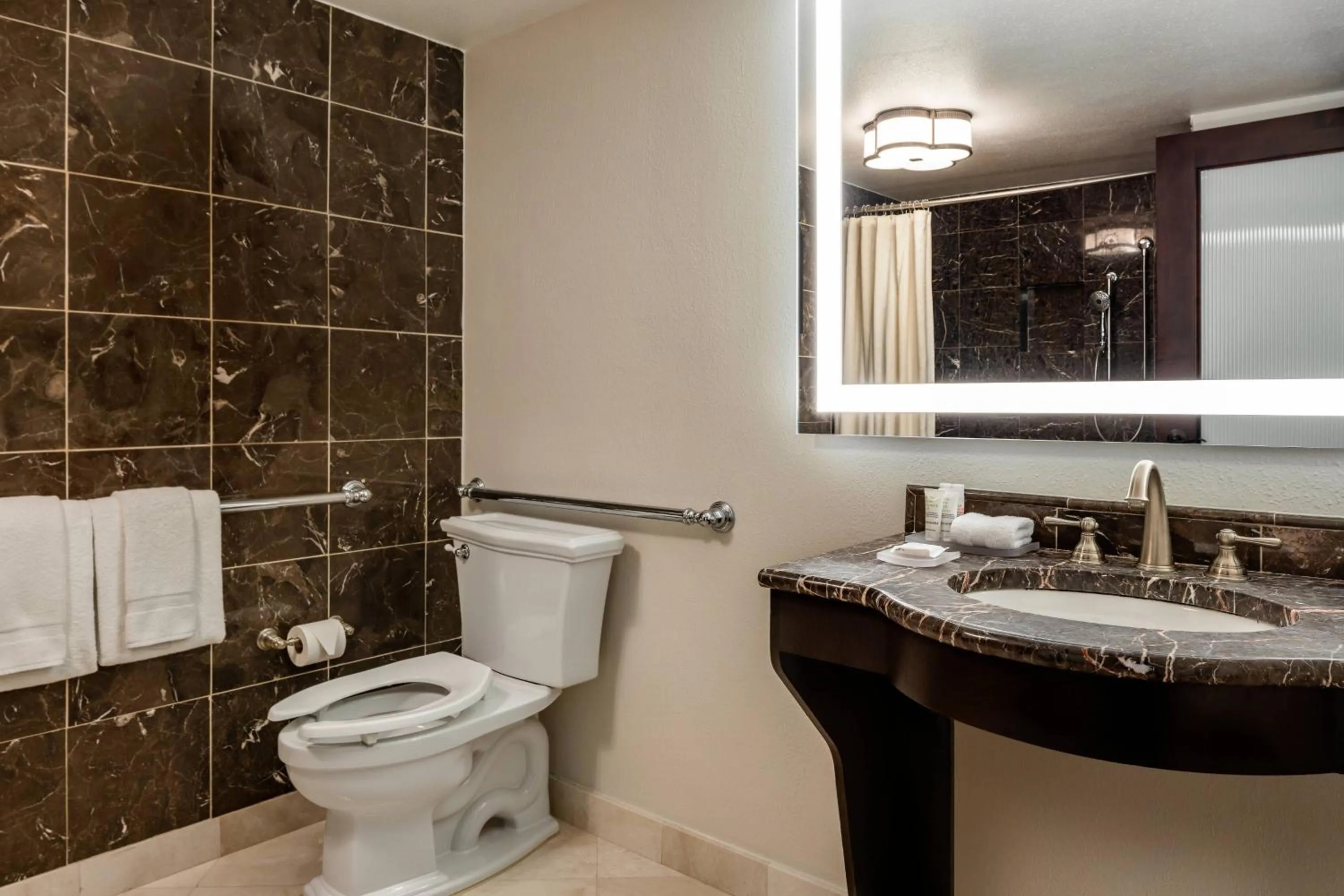 Bathroom in Hollywood Beach Marriott