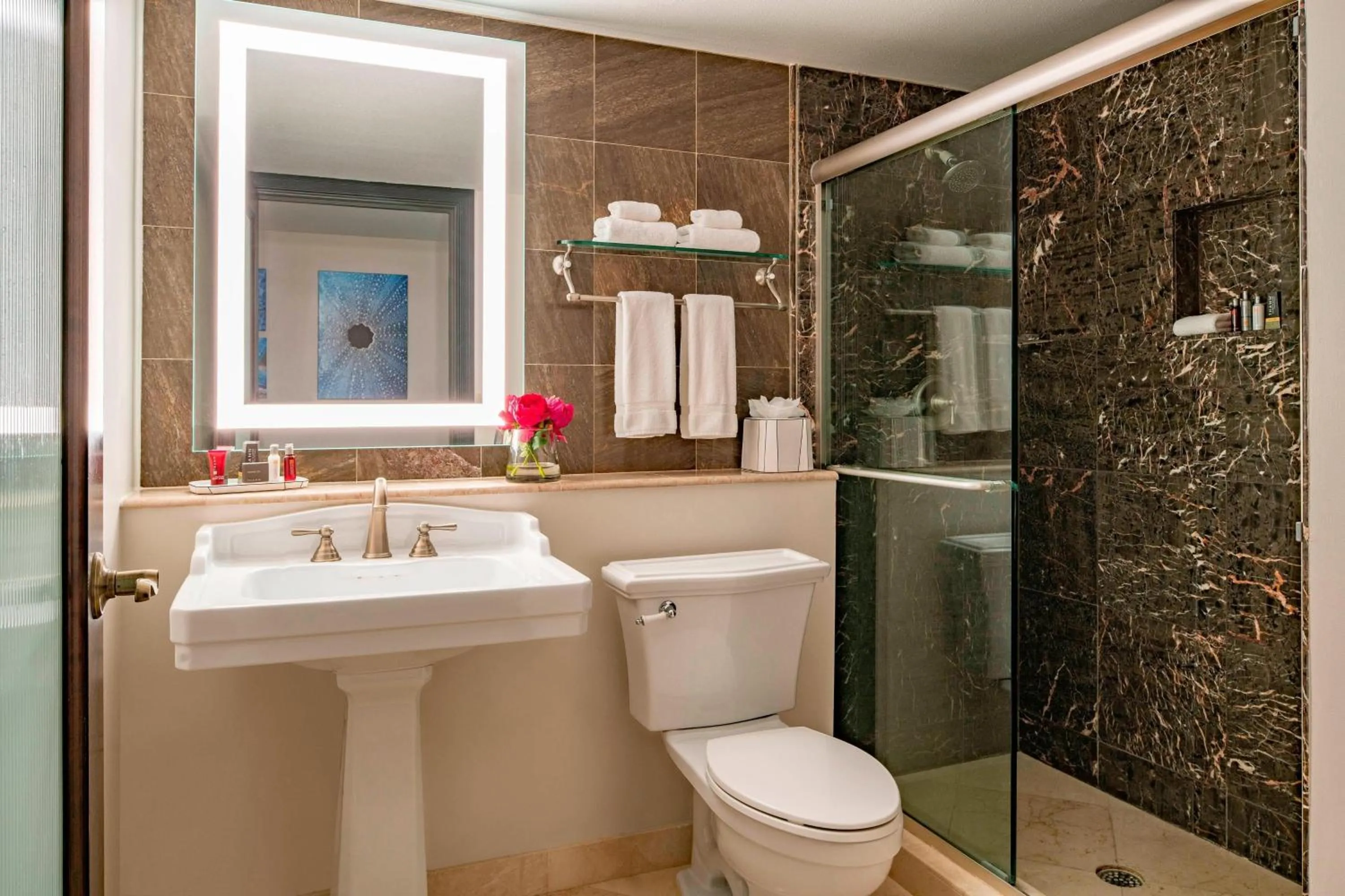 Bathroom in Hollywood Beach Marriott