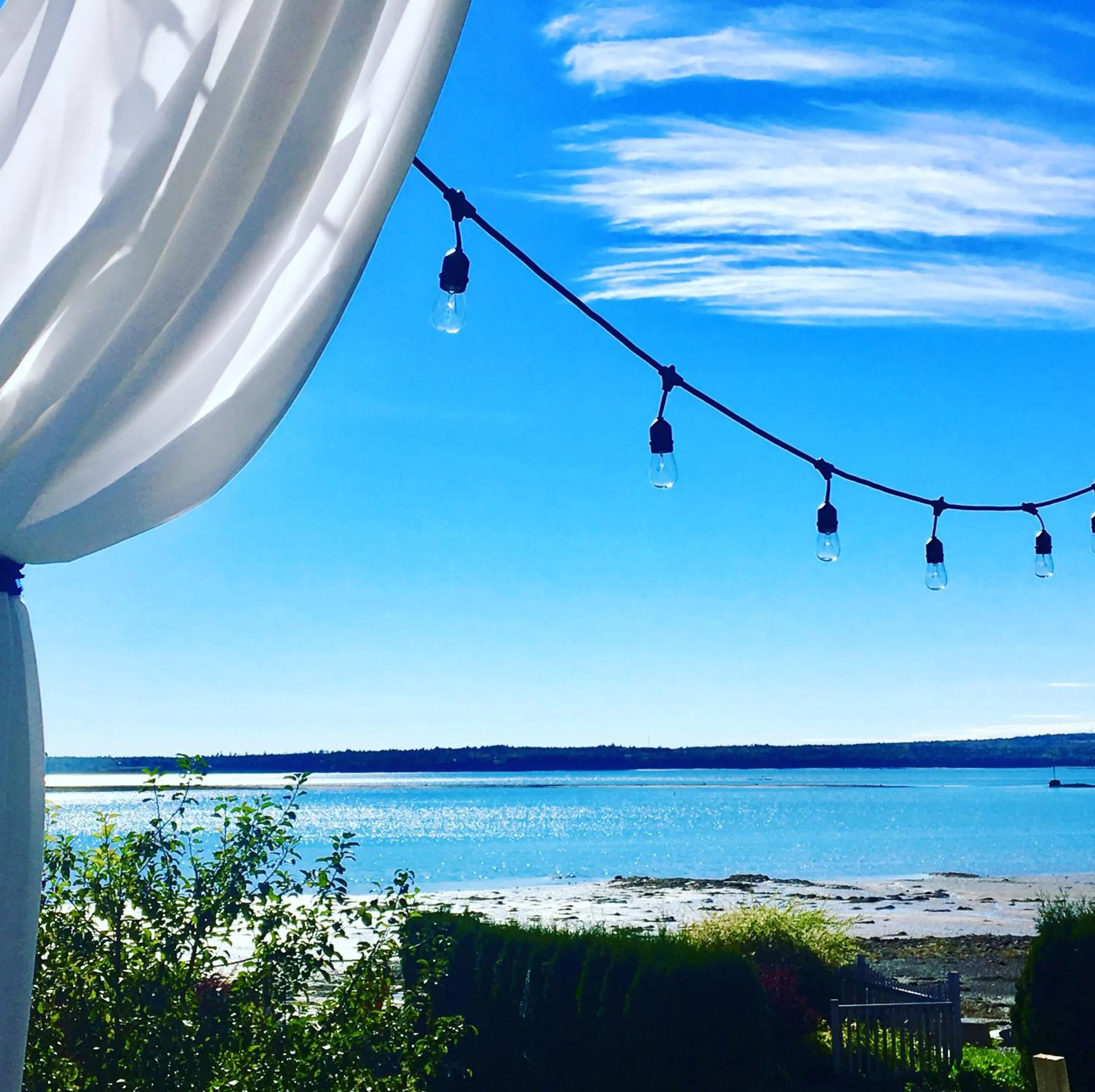 View (from property/room) in Treadwell Inn