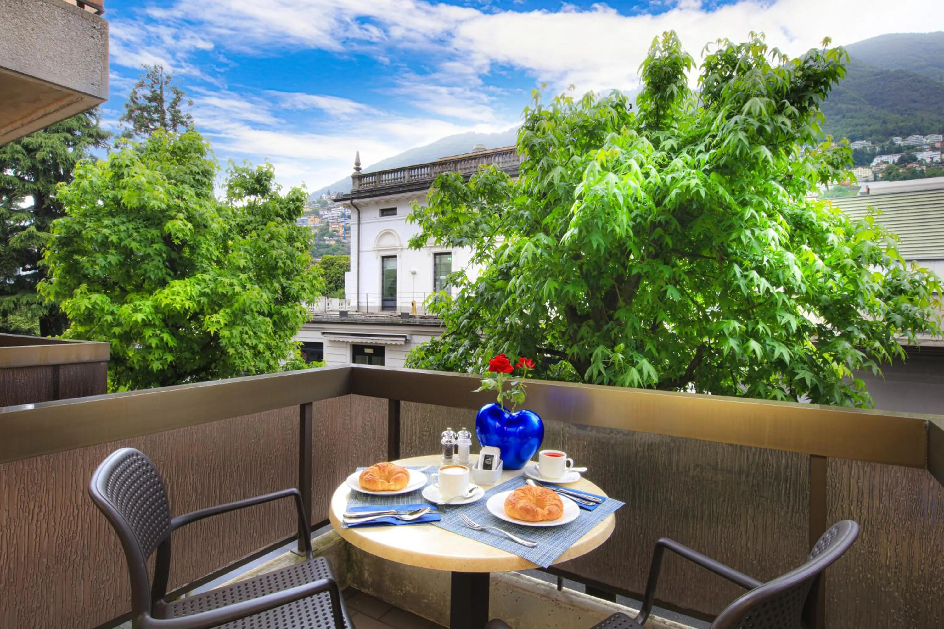 Natural landscape in Hotel City Locarno