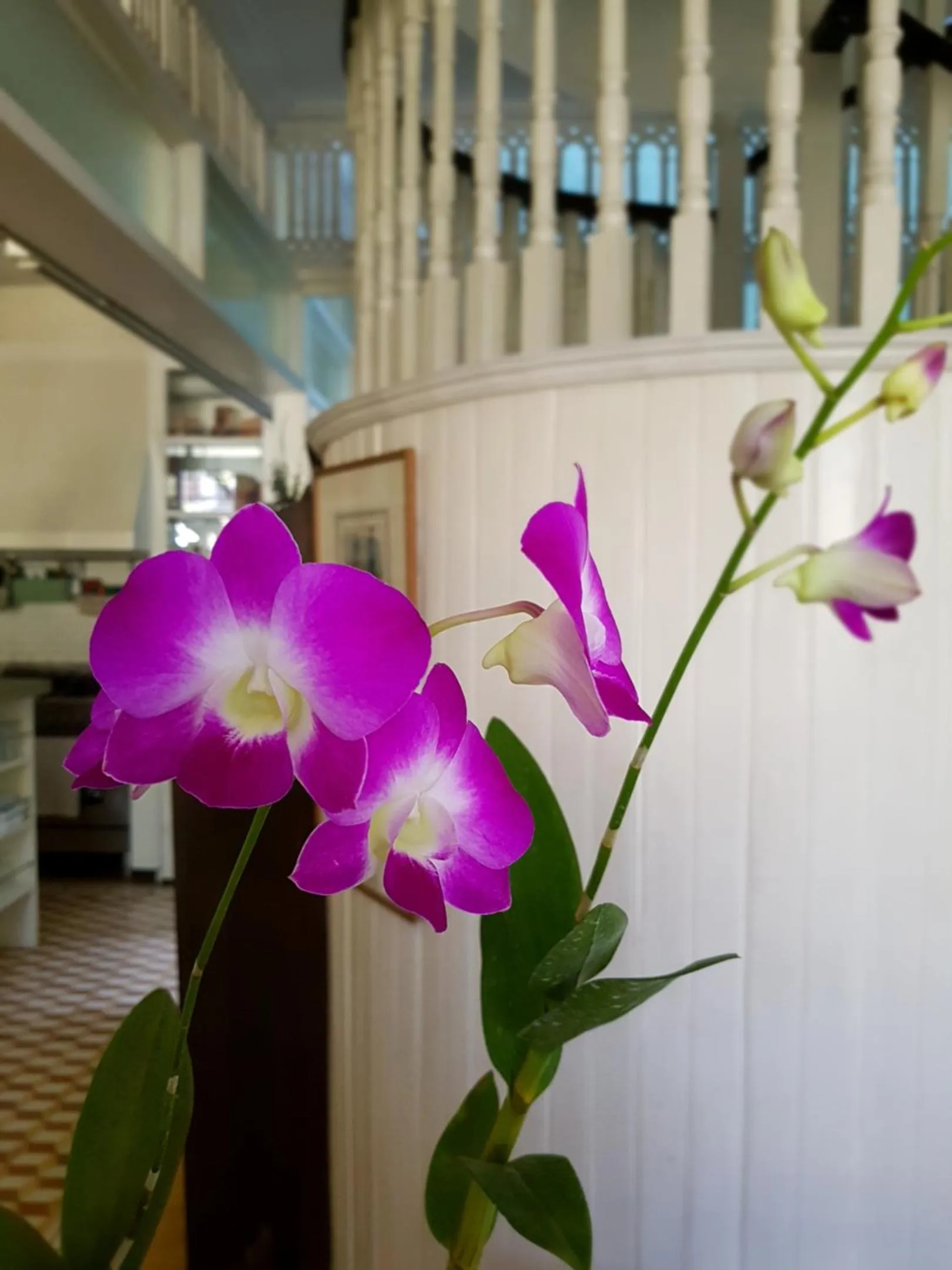 Decorative detail in Charming La Casita Mercedes, 5Br and 5TB for Family and Friends Staycation- Read Listing Info