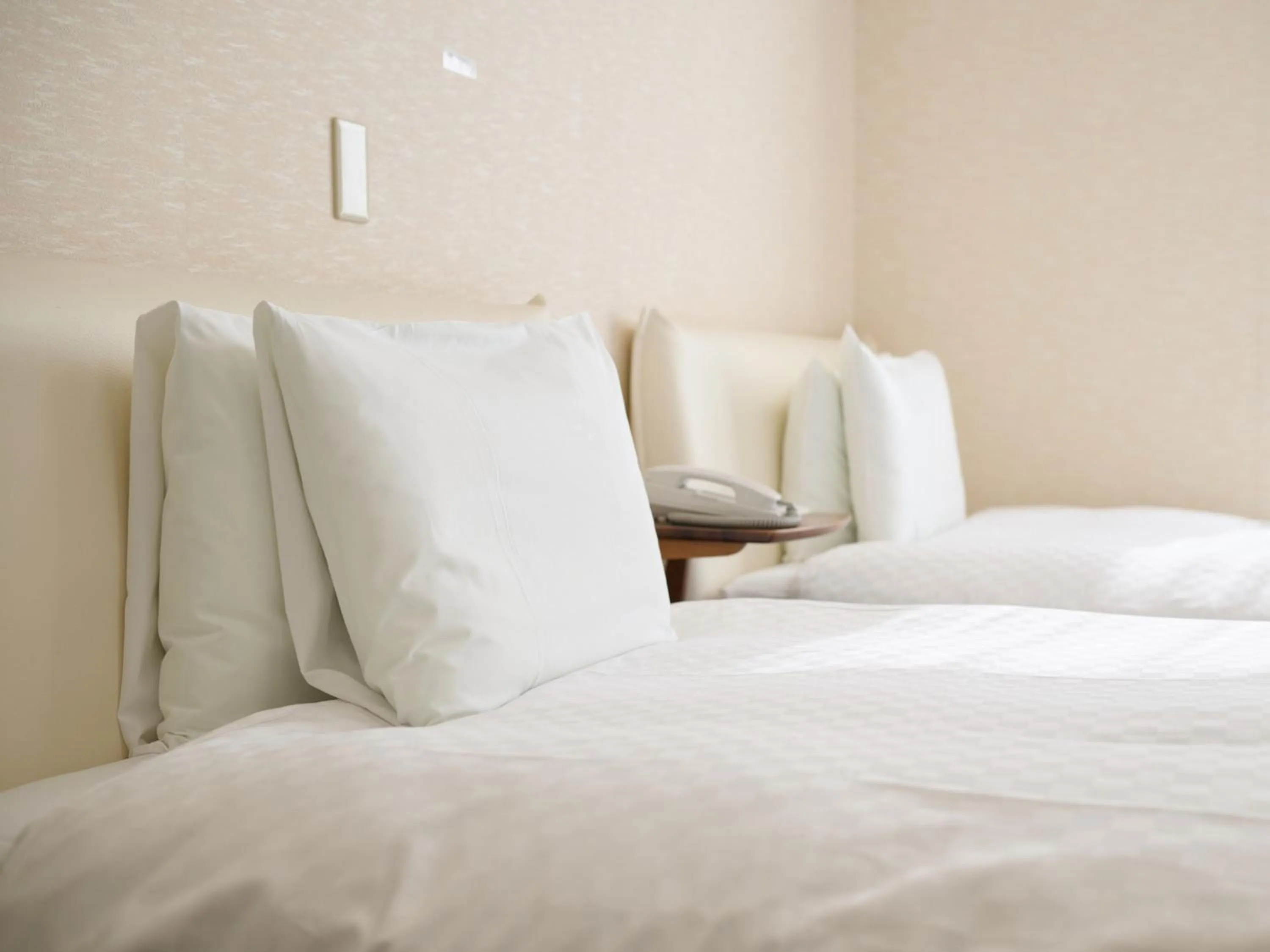 Photo of the whole room, Bed in Okasan Hotel