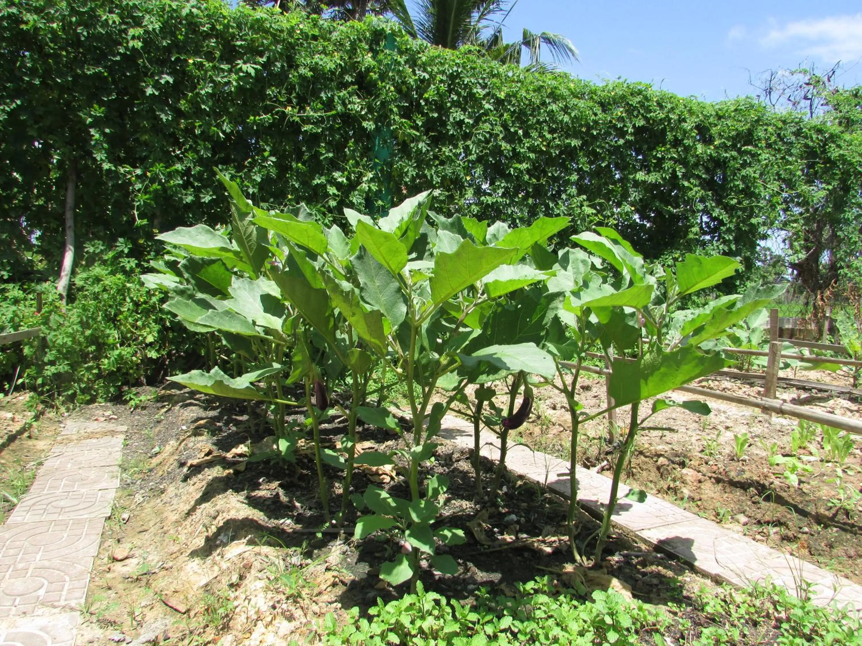 Phoumrumduol Bungalow