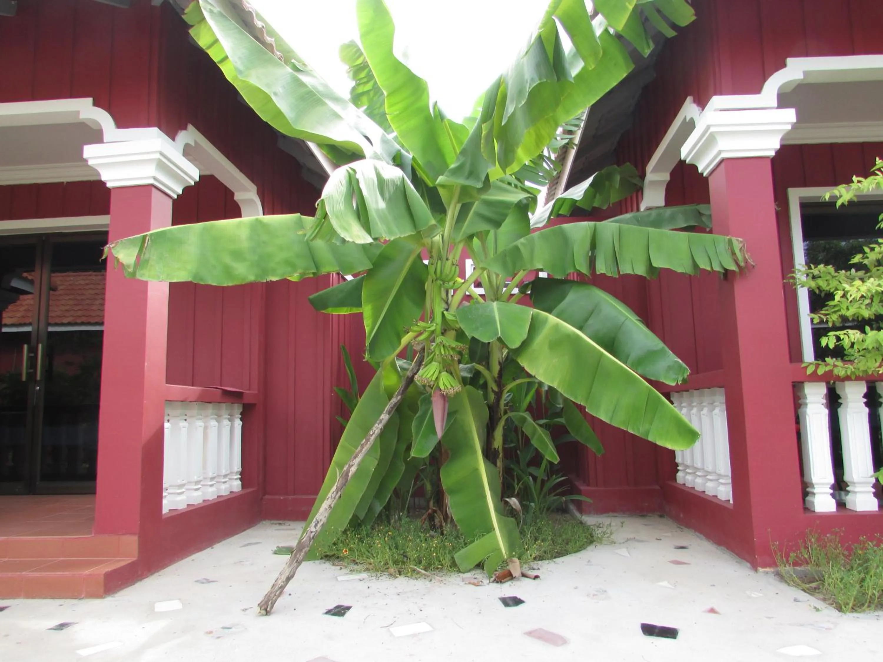 Natural landscape in Phoumrumduol Bungalow