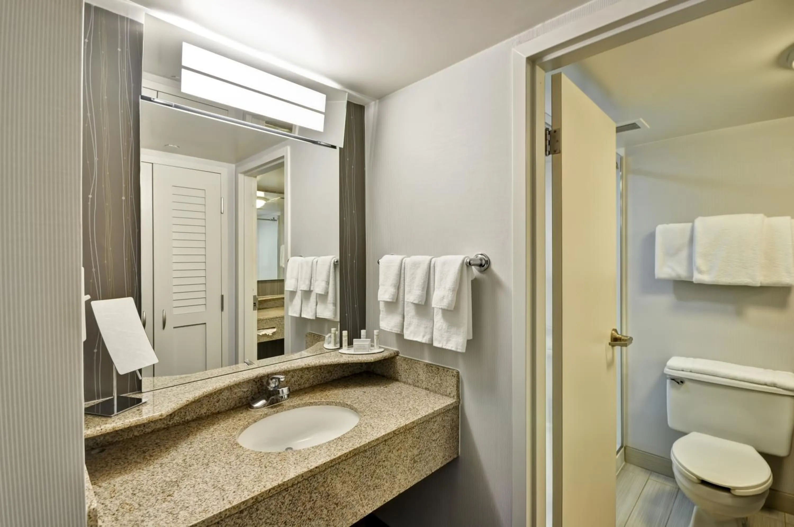 Bathroom in Courtyard Houston I-10 West/Energy Corridor