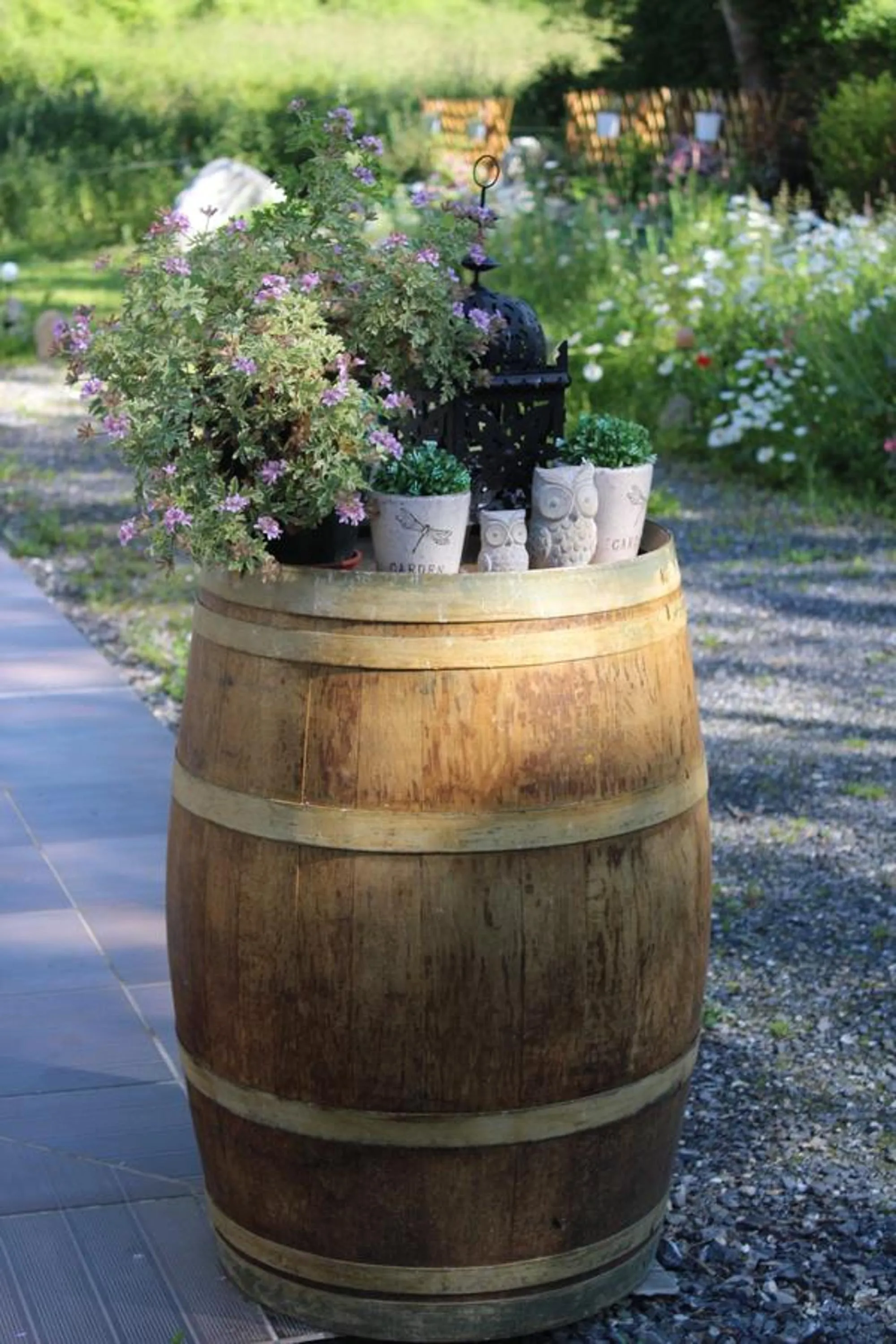 Garden in Du Coté de Lacoume