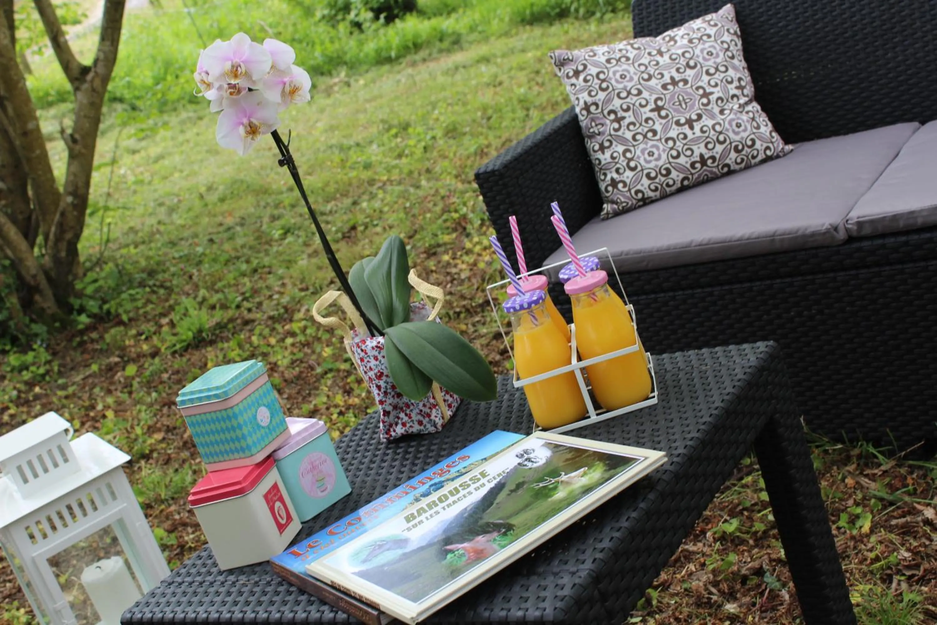 Garden in Du Coté de Lacoume