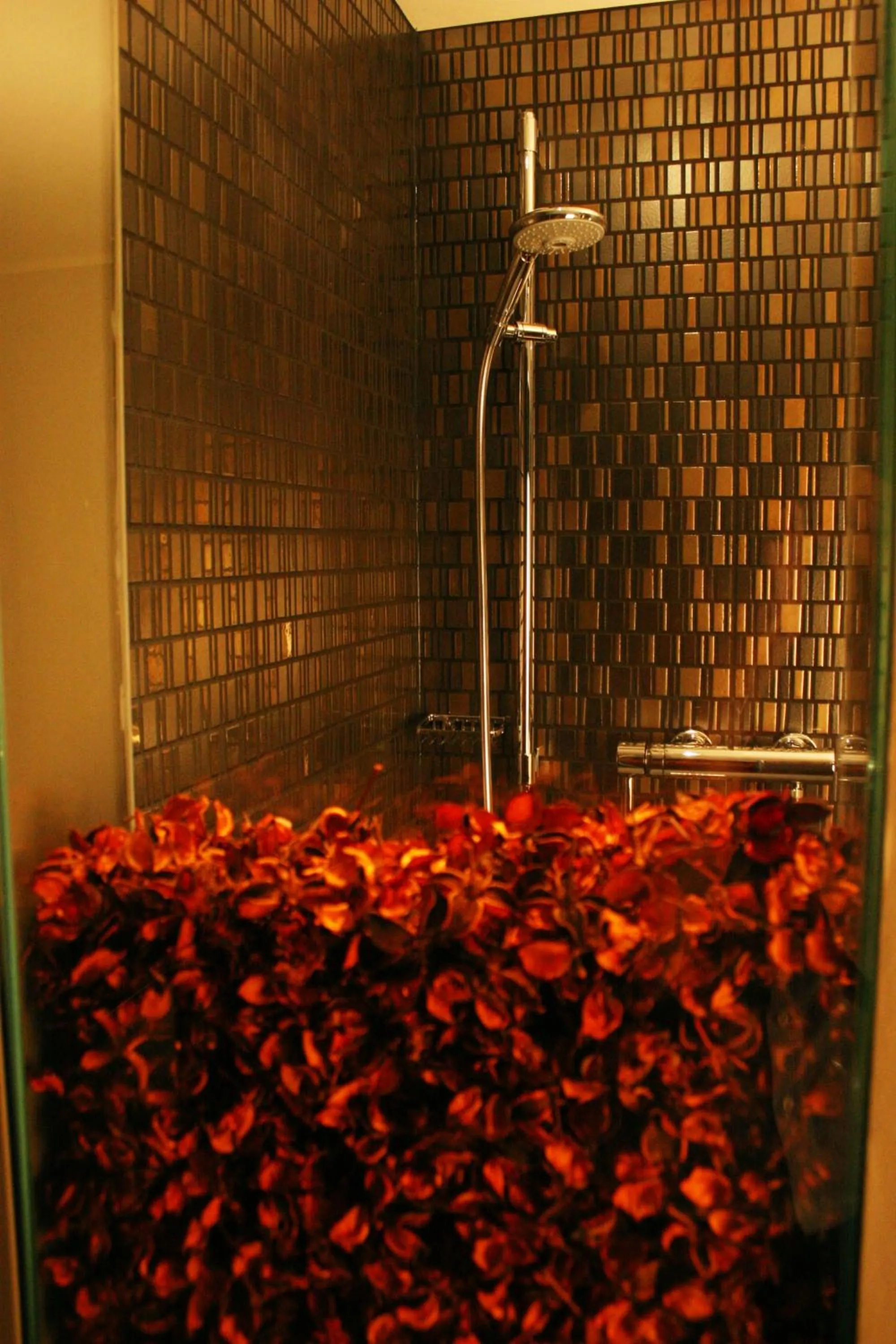 Shower in Hotel Rosenmeer