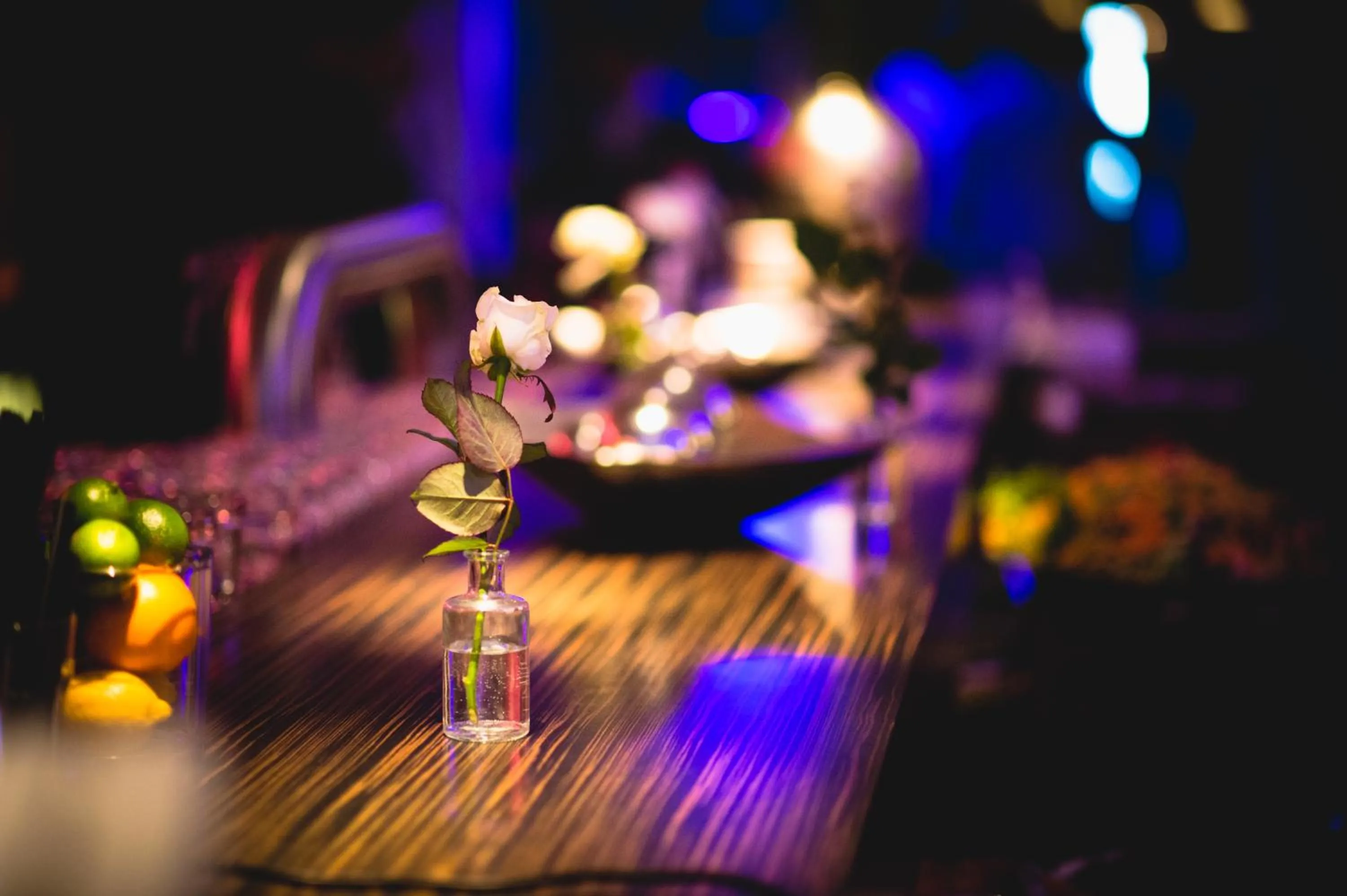 Lounge or bar in Hotel Rosenmeer