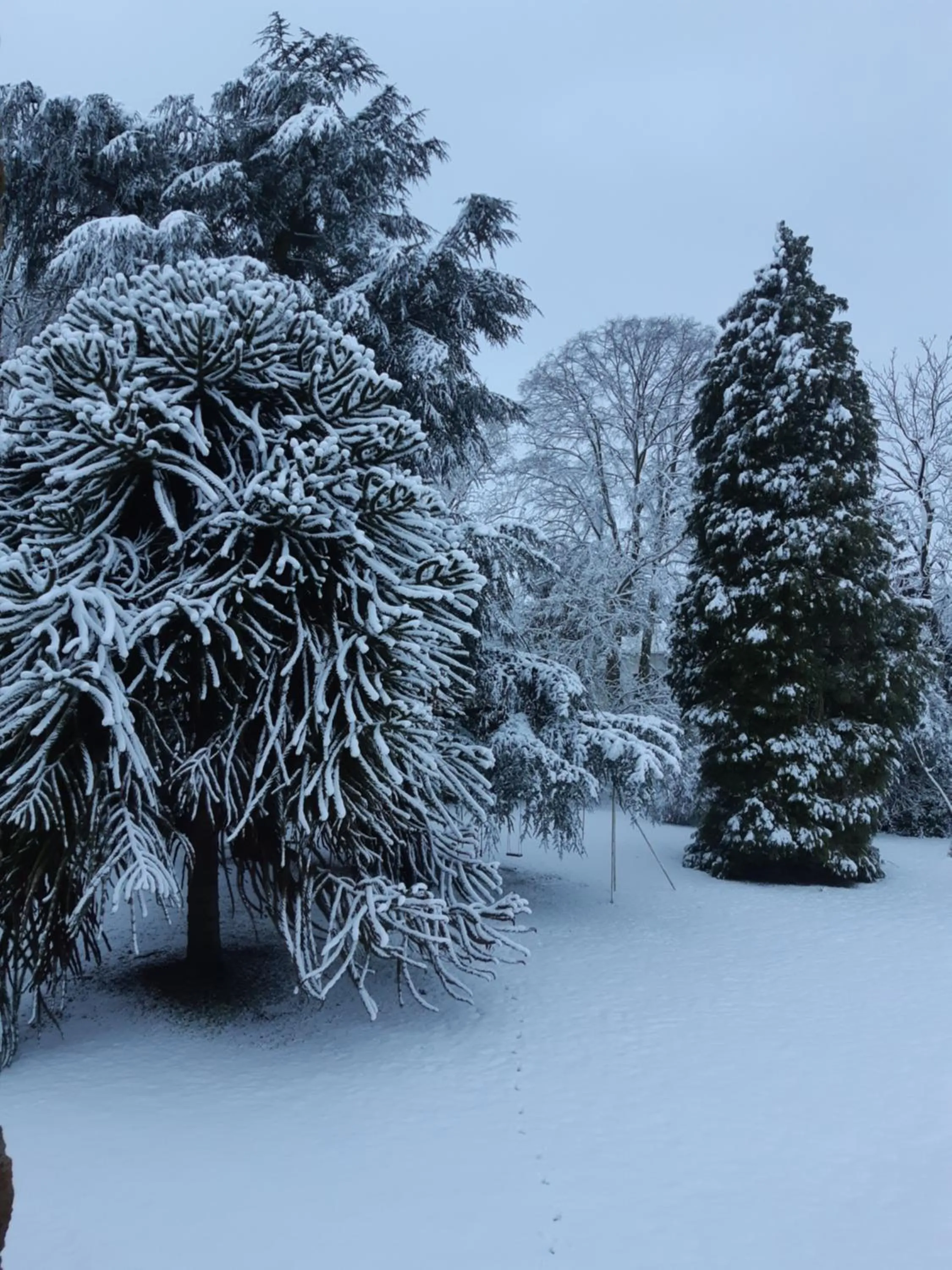 Winter in Roulotte La Verdine