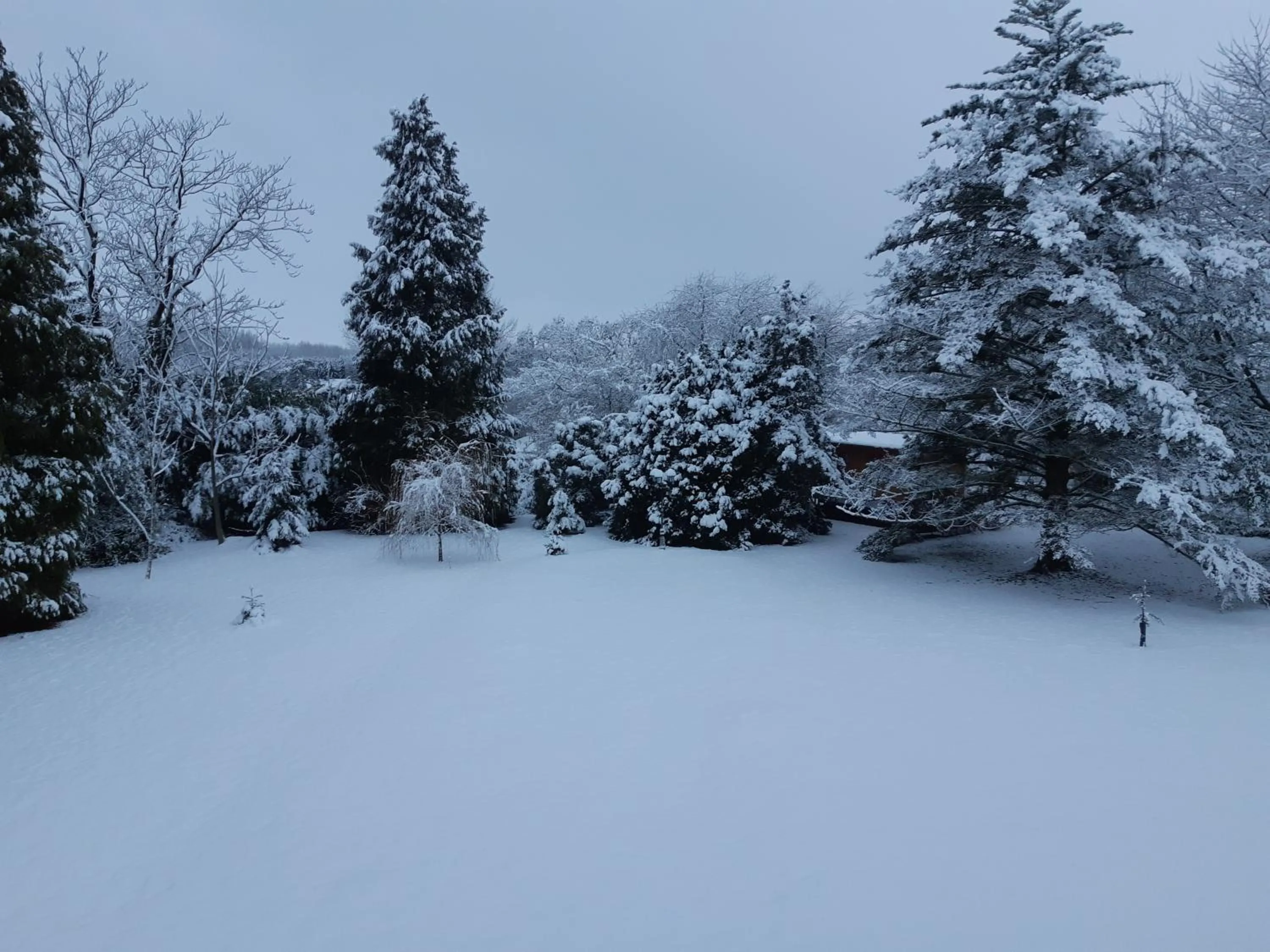 Natural landscape in Roulotte La Verdine