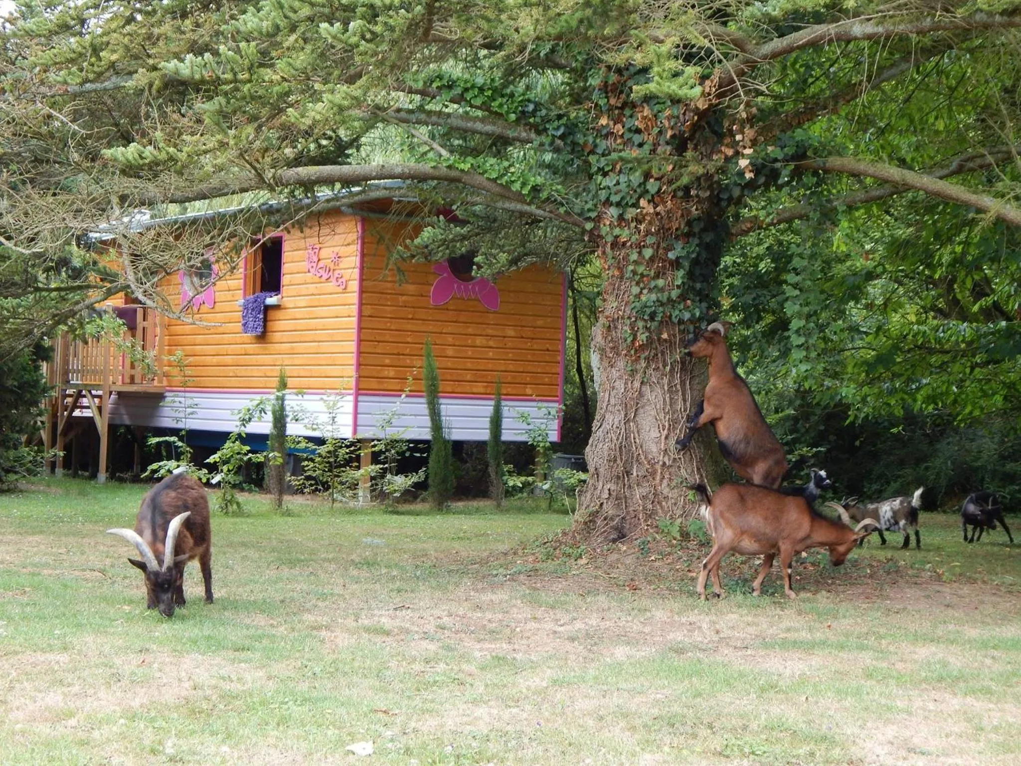 Landmark view in Roulotte La Verdine