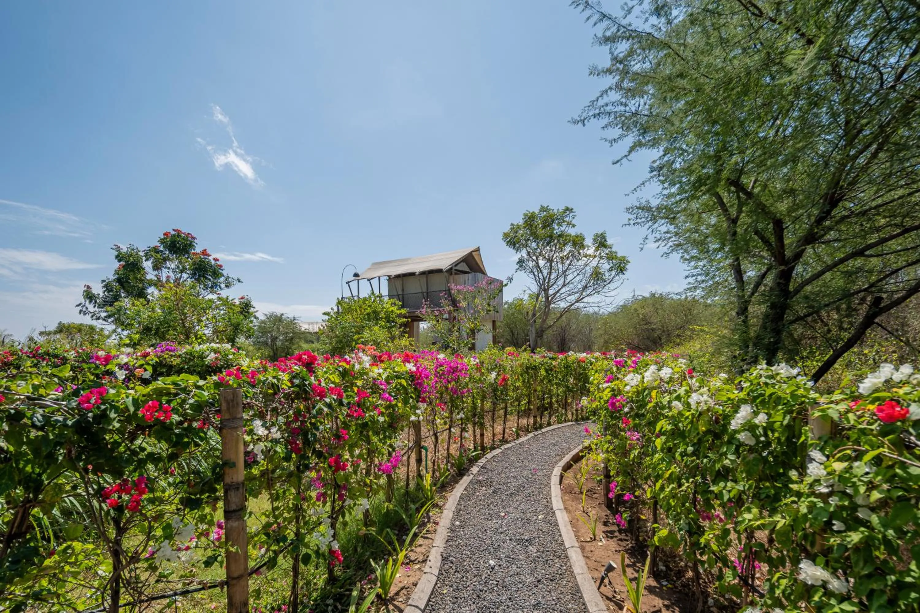 Menjangan Dynasty Resort