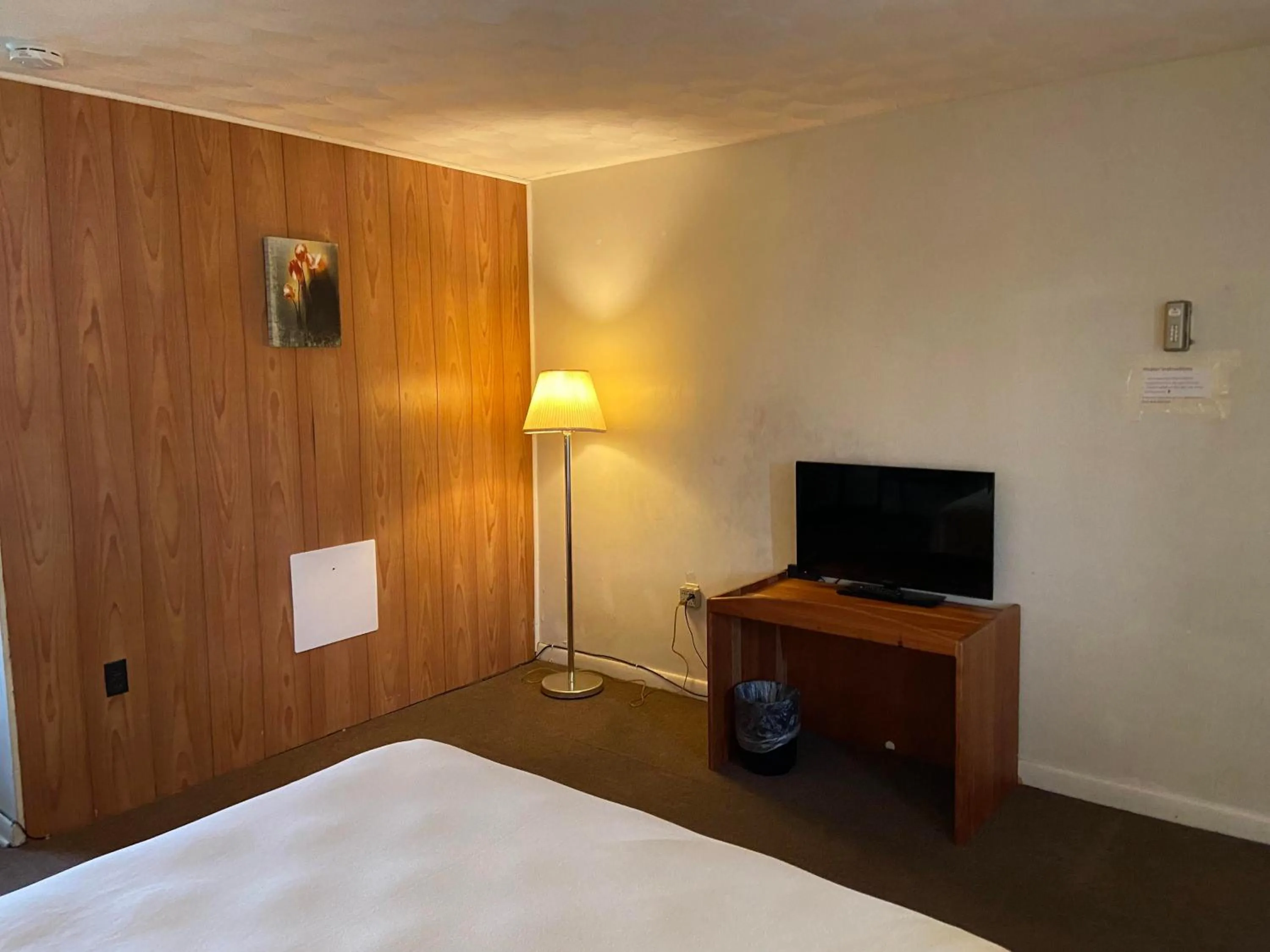 Bed in Driftwood Motel