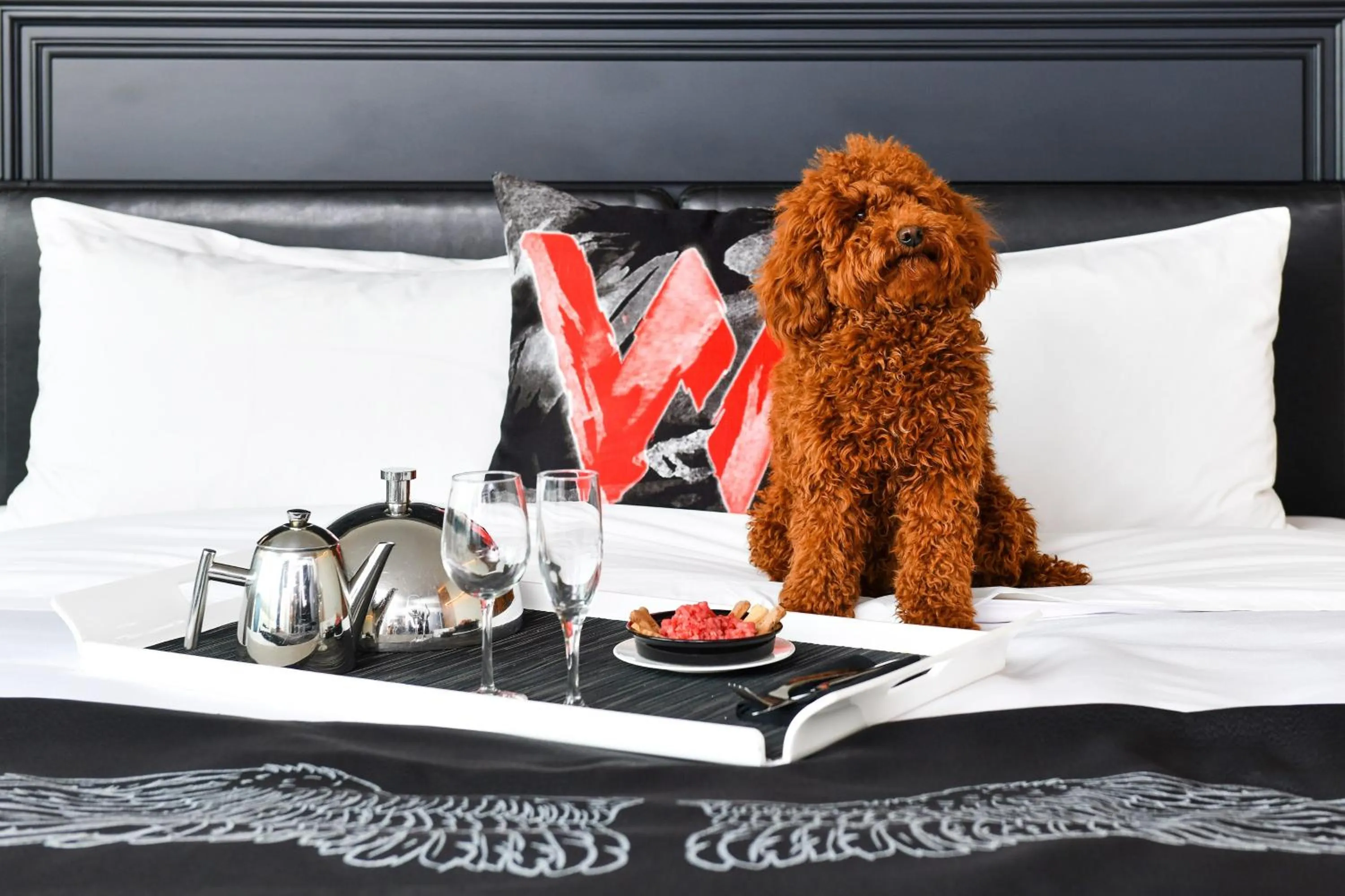 Other, Bed in W Boston