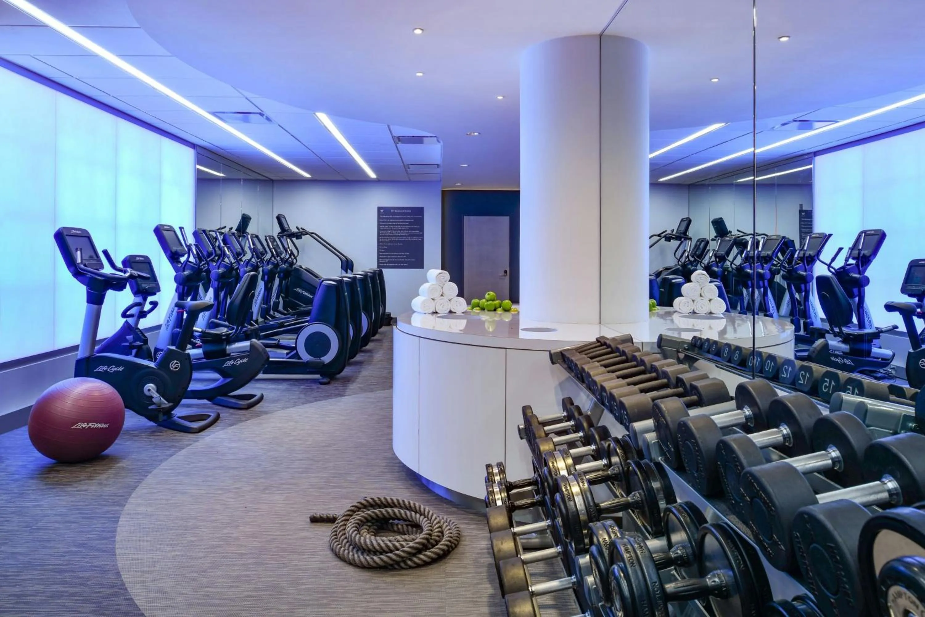 Fitness centre/facilities in W Boston