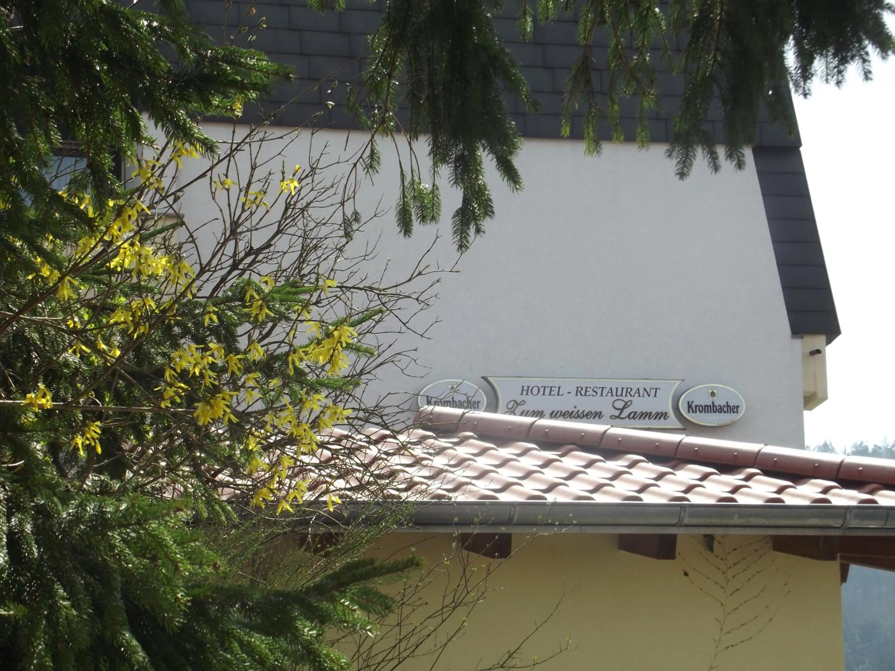 Property building in Zum Weissen Lamm