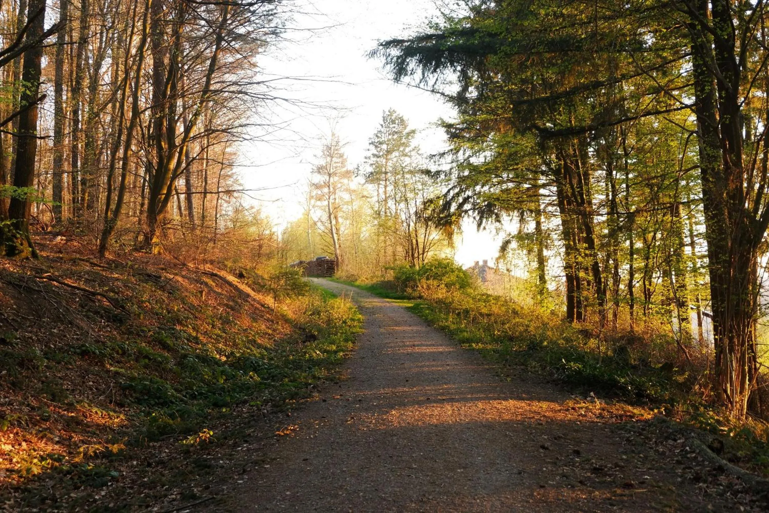 Natural landscape in Zum Weissen Lamm