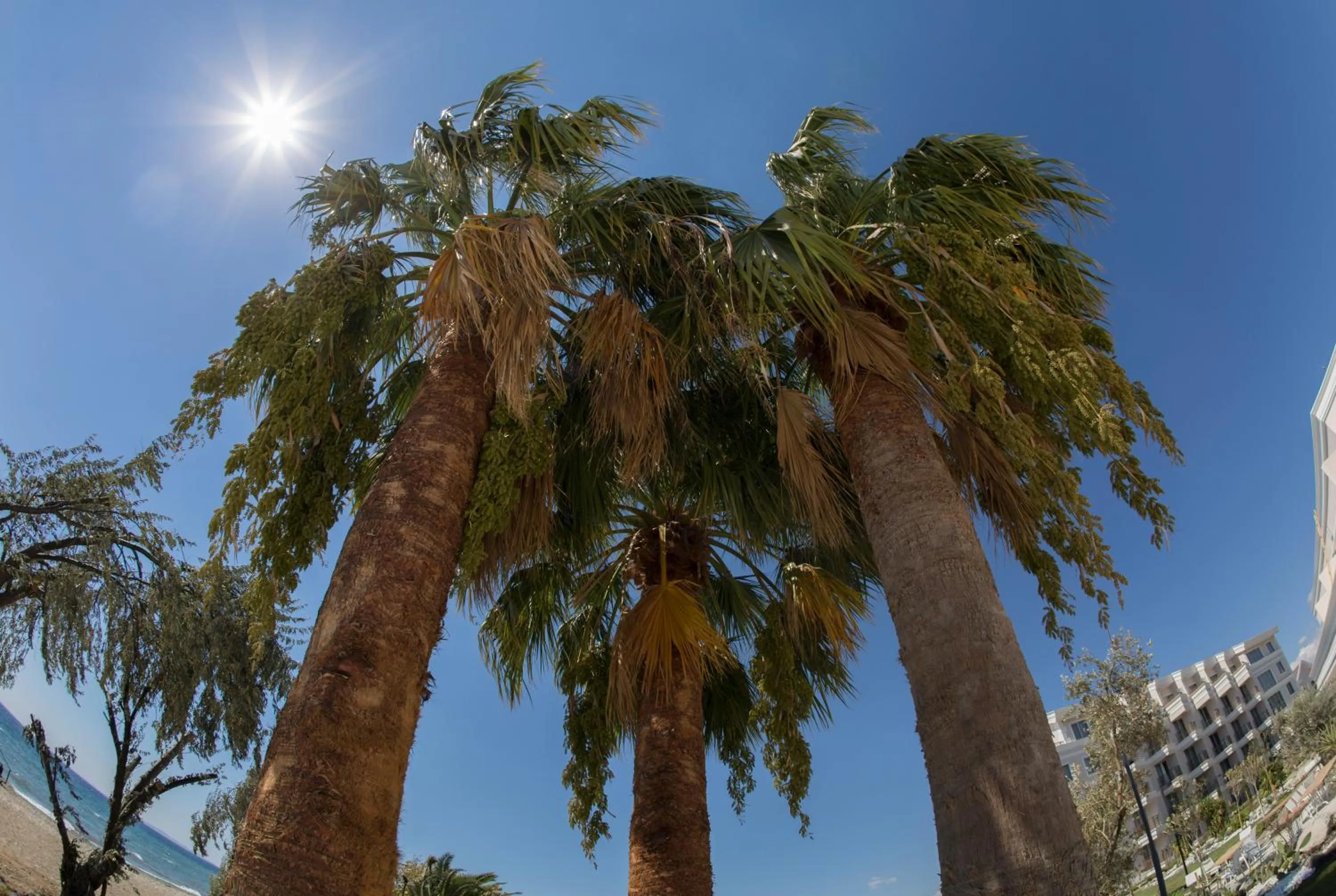 Property building in Rawda Resort Hotel Altinoluk