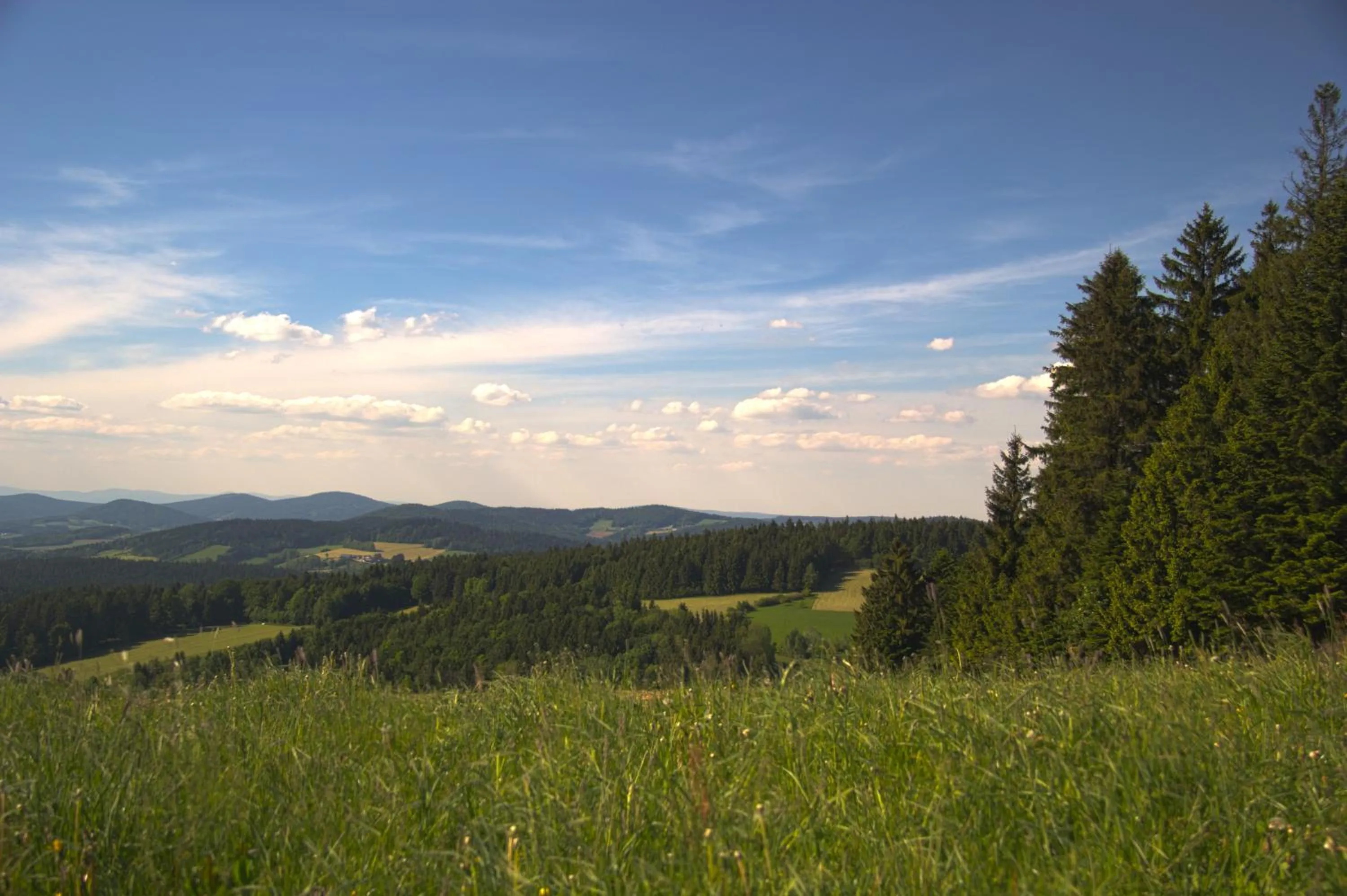 Off site in Landgasthof Zum Lang