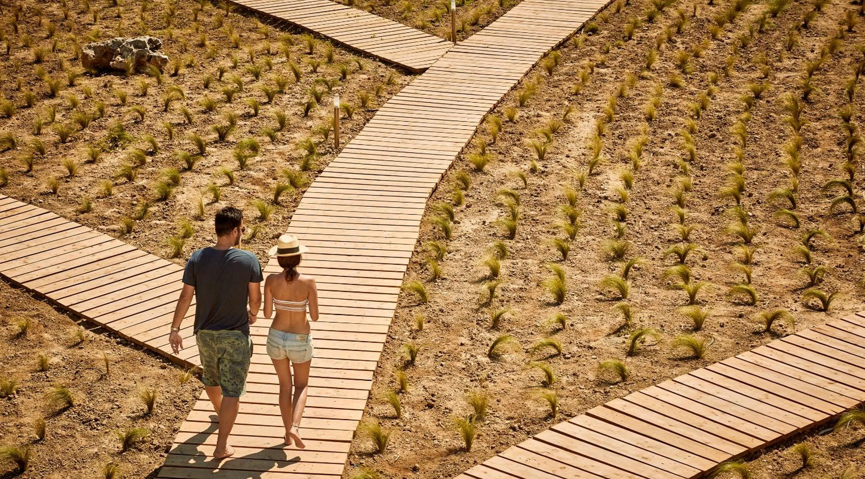 Garden in Naxian On The Beach