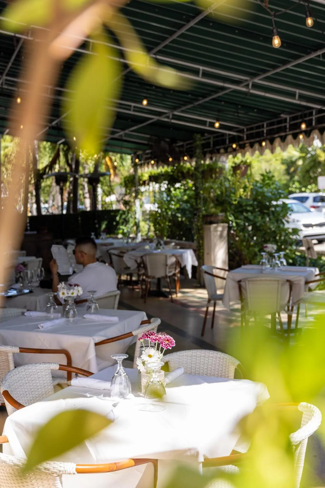 Restaurant/places to eat in Crest Hotel Suites