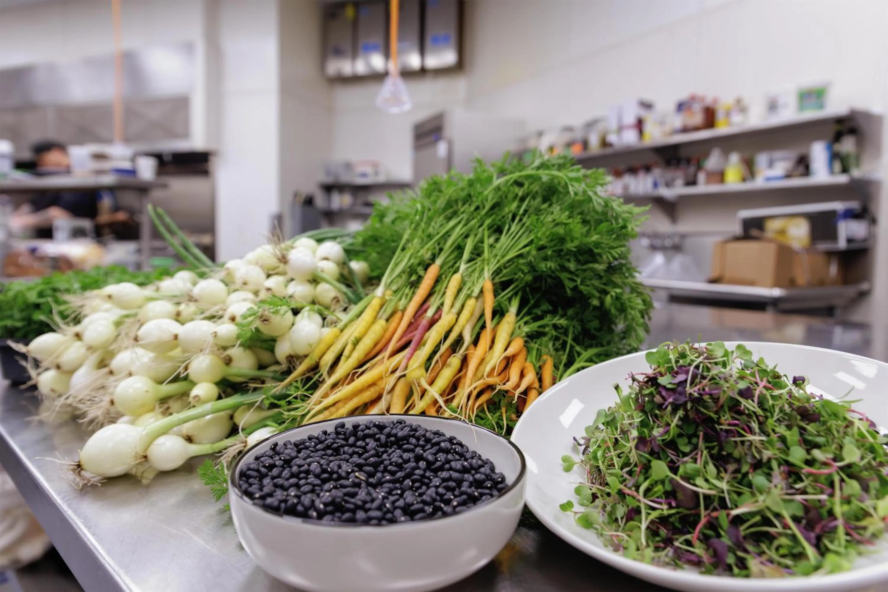 Restaurant/places to eat in Hyatt Centric Chicago Ohare