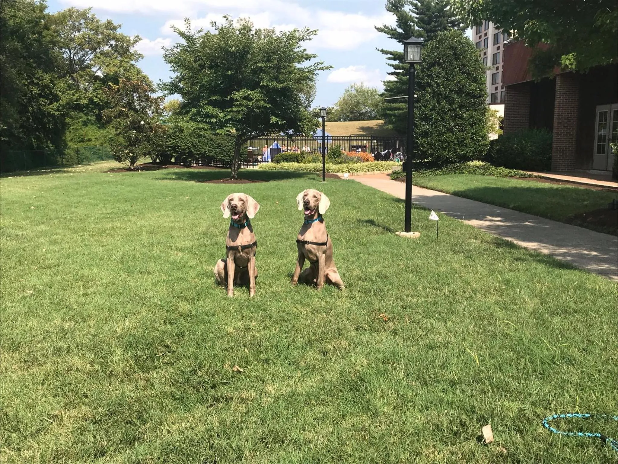 Patio in Millennium Maxwell House Nashville