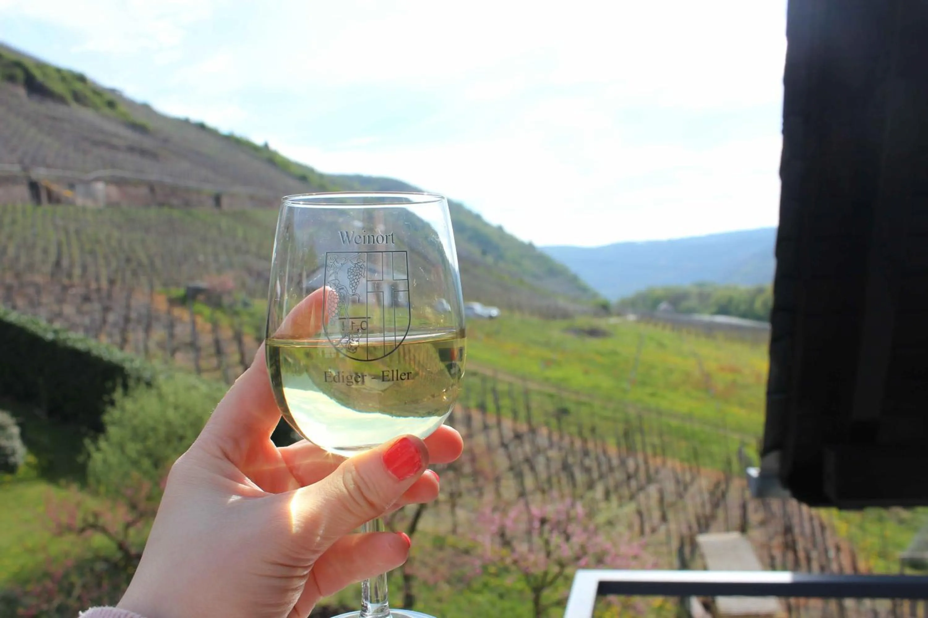 View (from property/room) in Pension Rehschopp