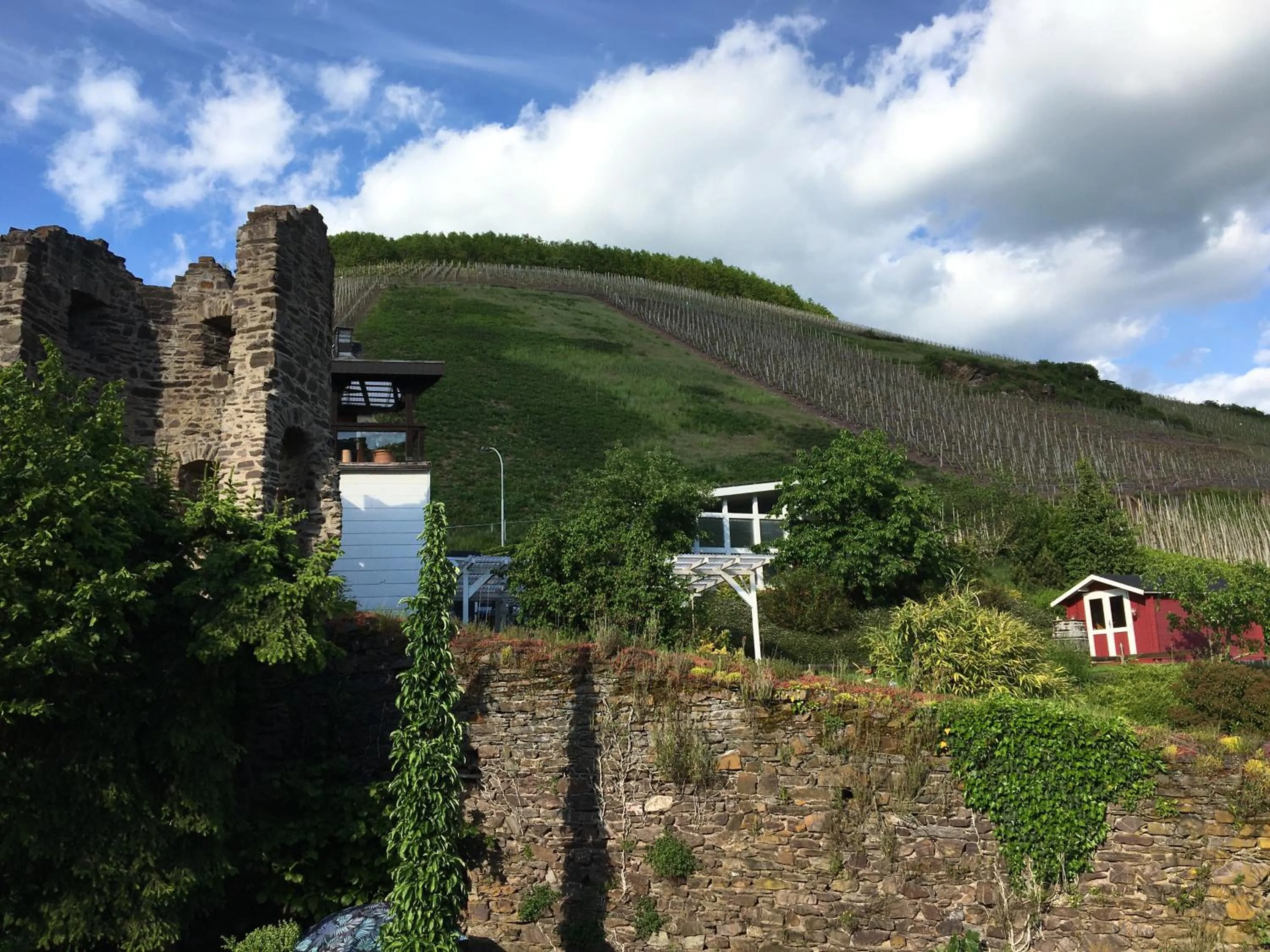 View (from property/room) in Pension Rehschopp