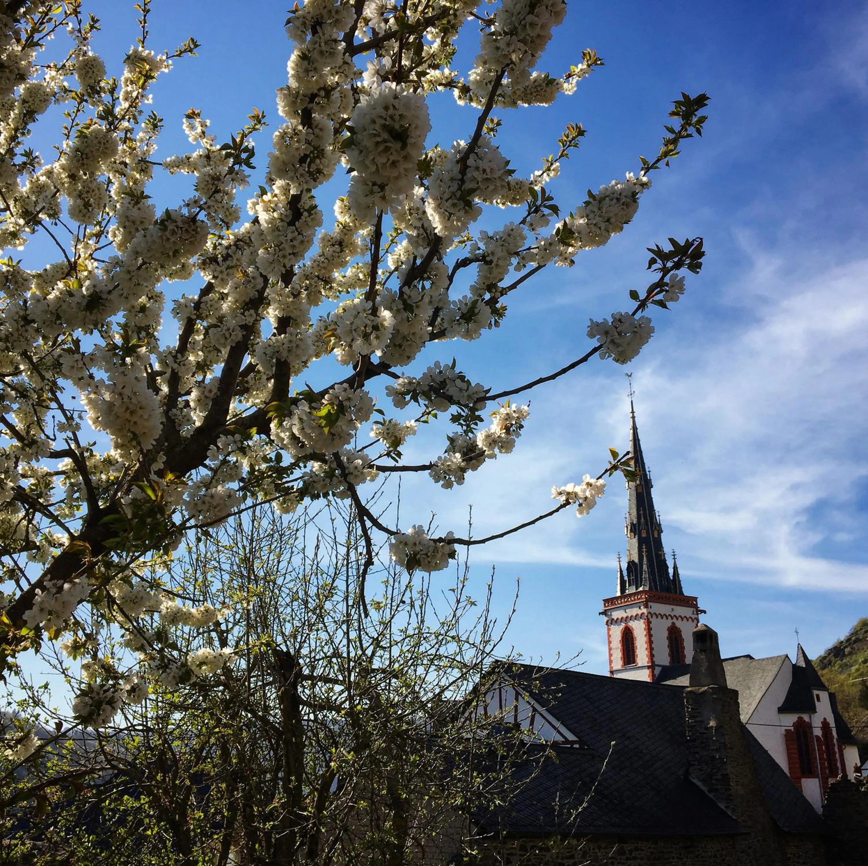 Neighbourhood in Pension Rehschopp