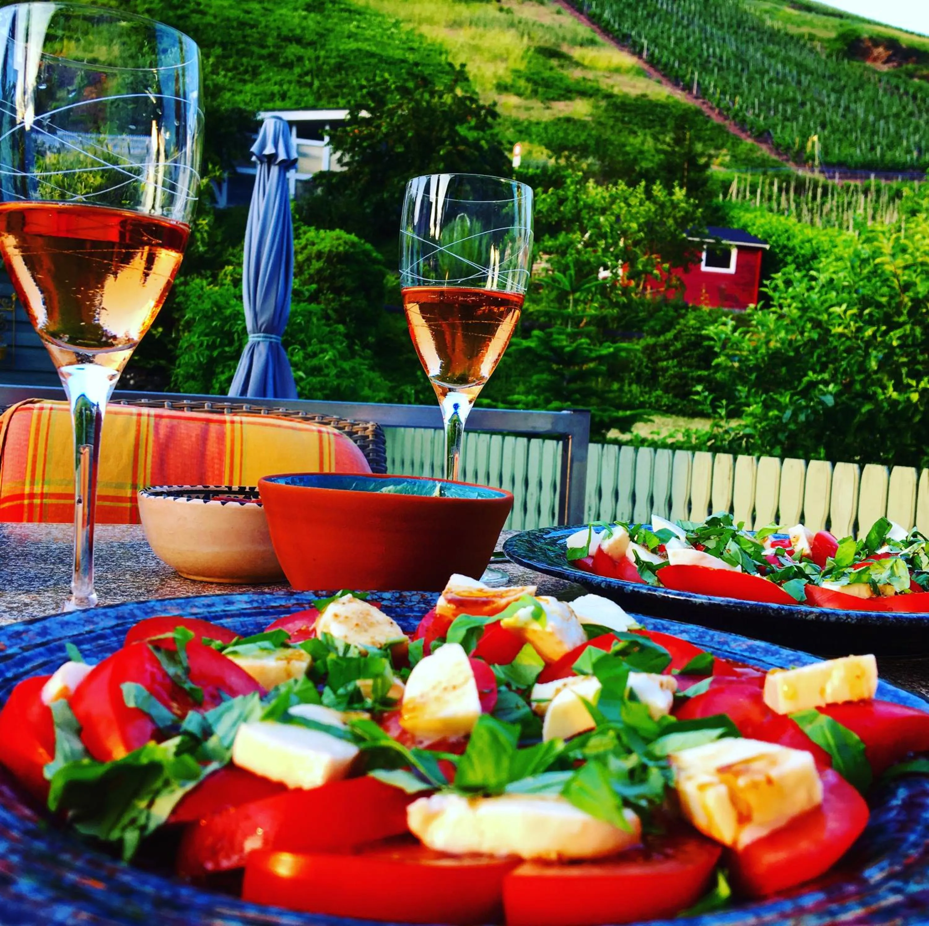 Balcony/Terrace in Pension Rehschopp