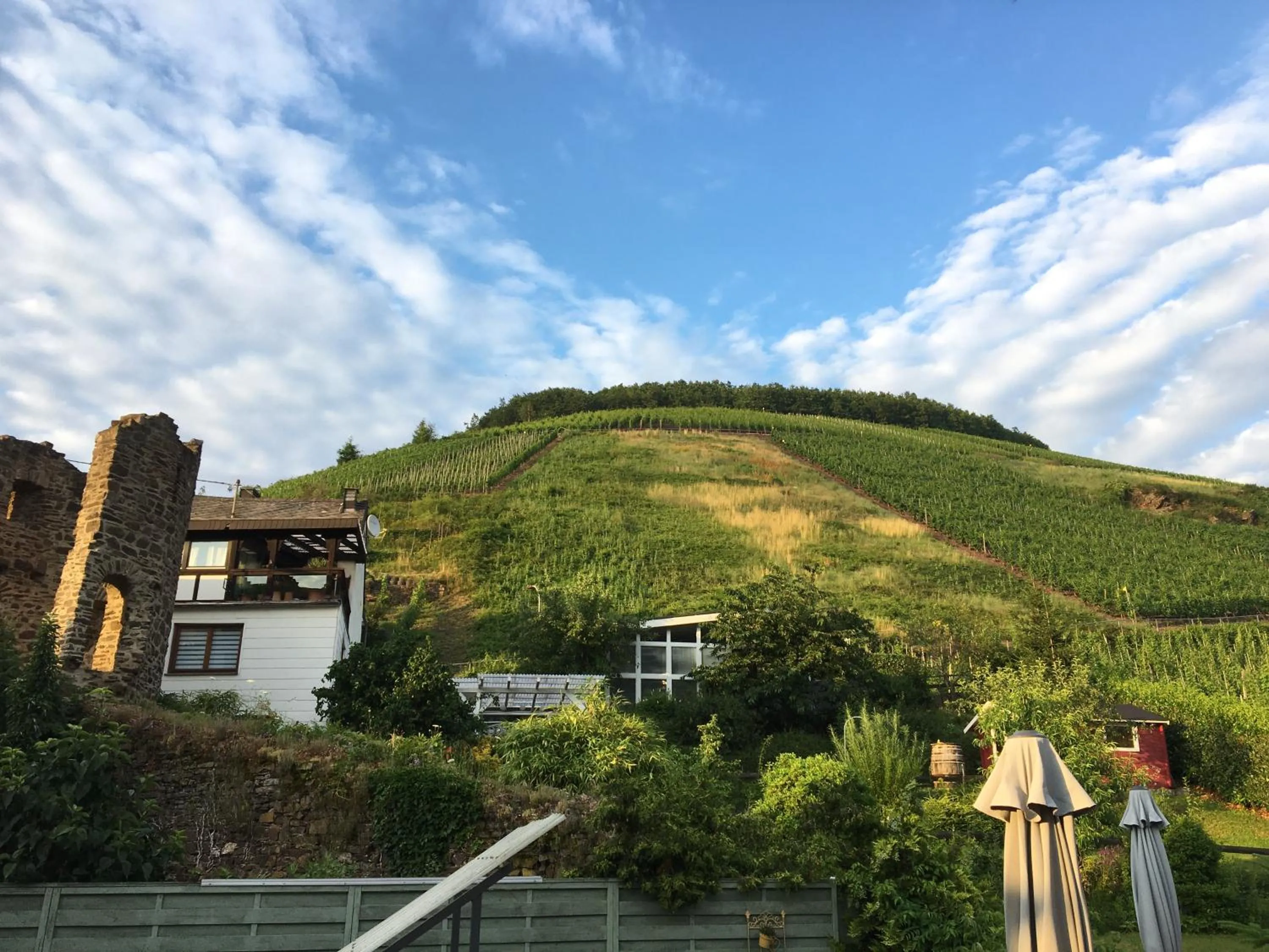 View (from property/room) in Pension Rehschopp