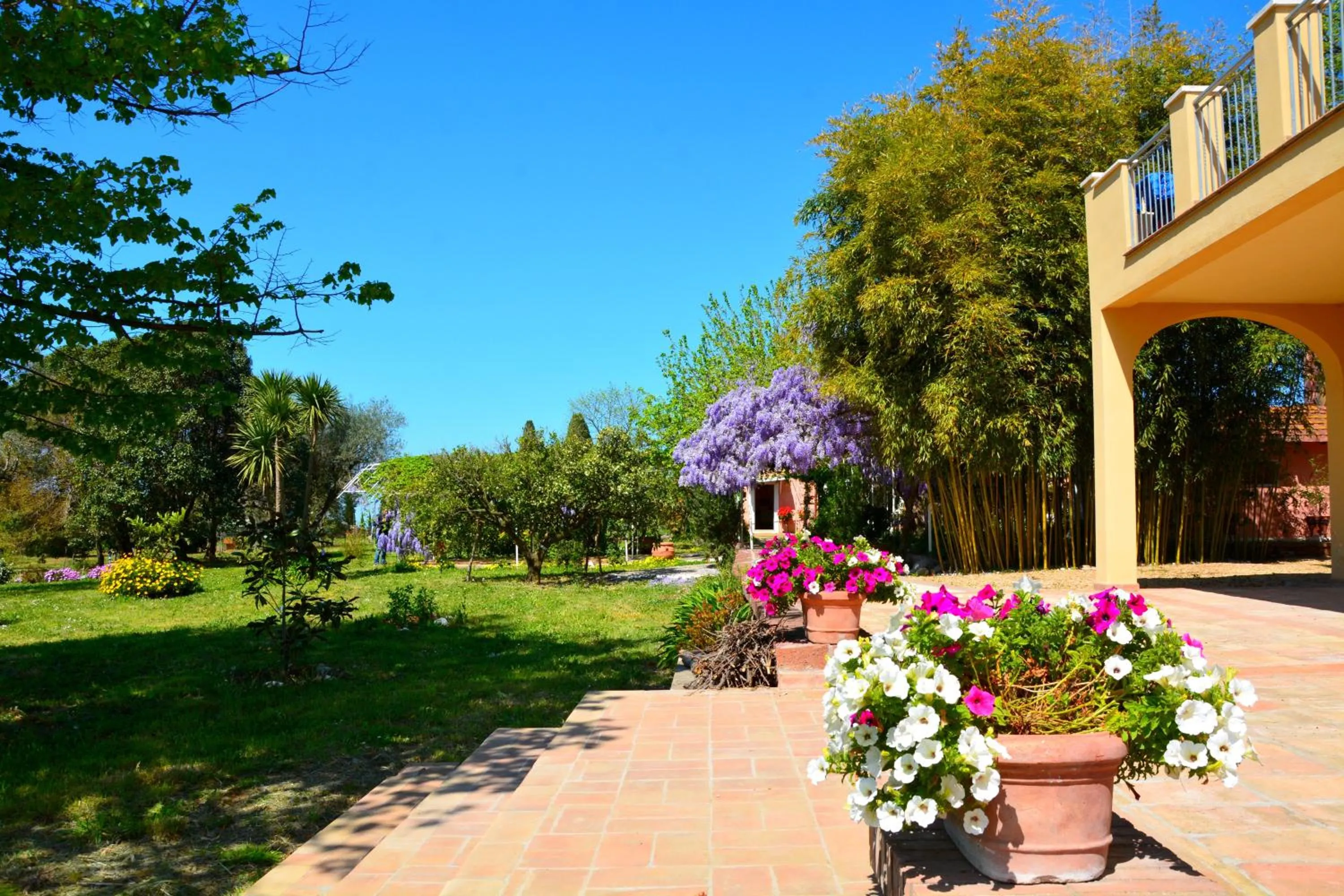 Balcony/Terrace in Casale Del Gelso