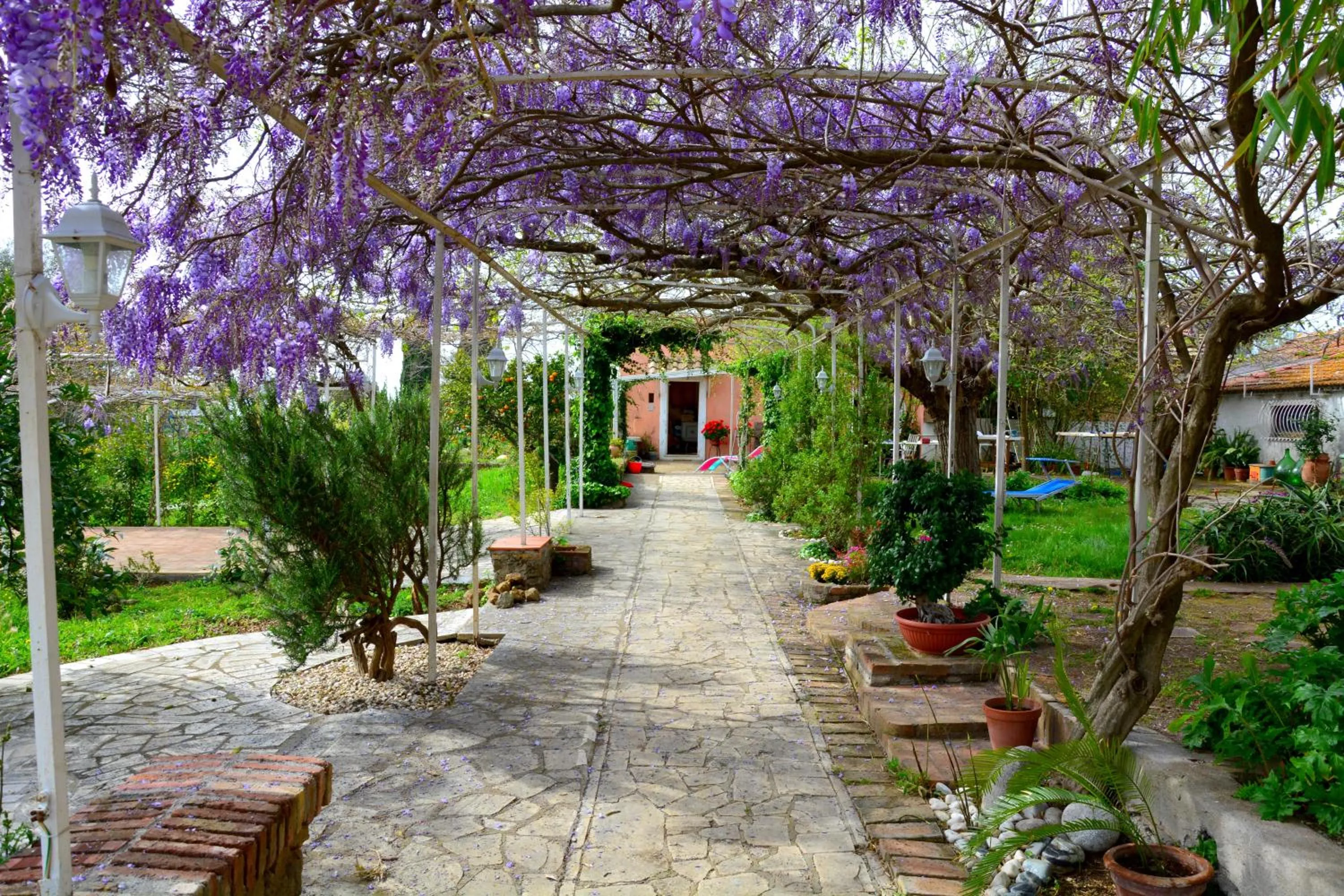 Garden view in Casale Del Gelso