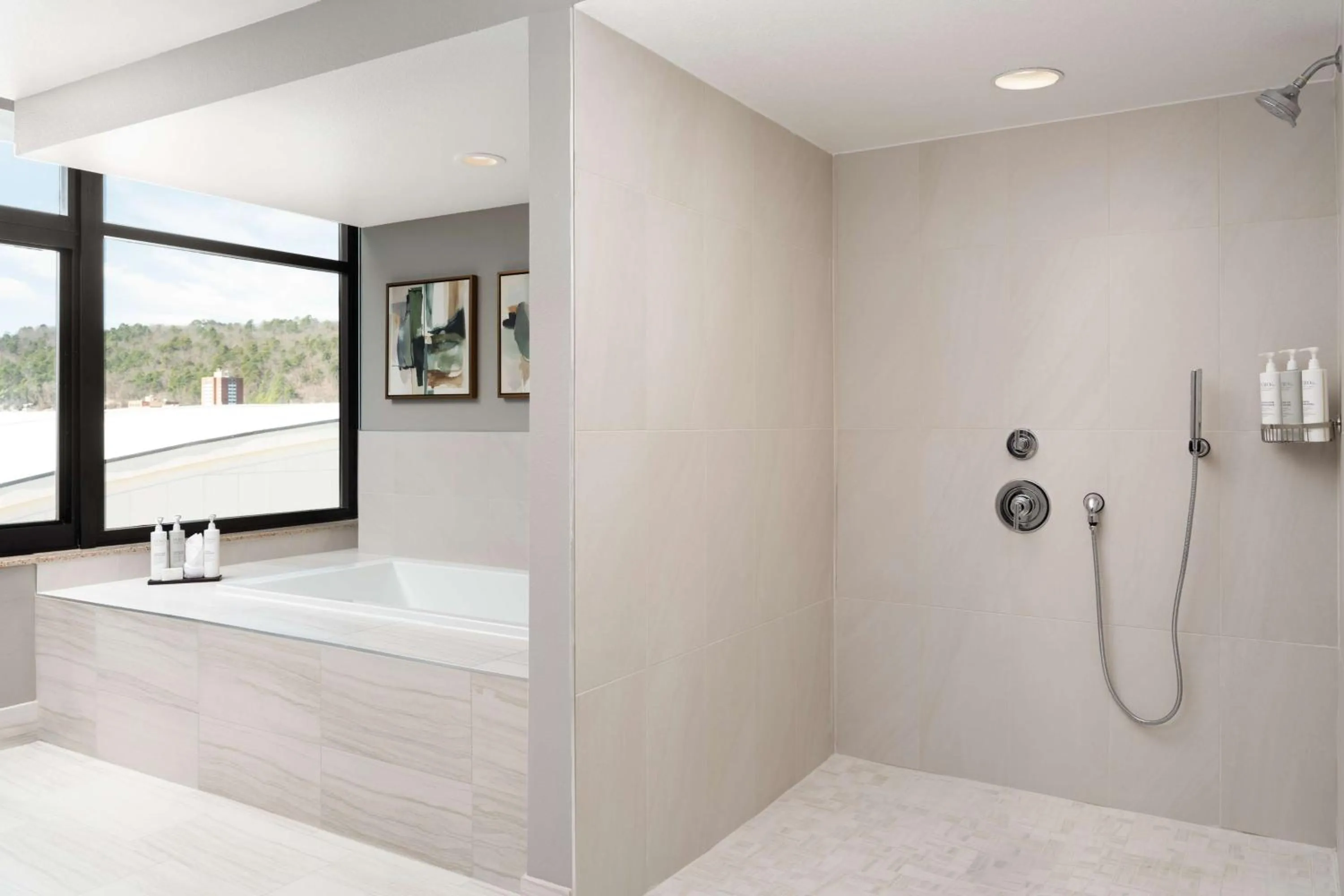 Bathroom in Embassy Suites by Hilton at Hot Springs Convention Center