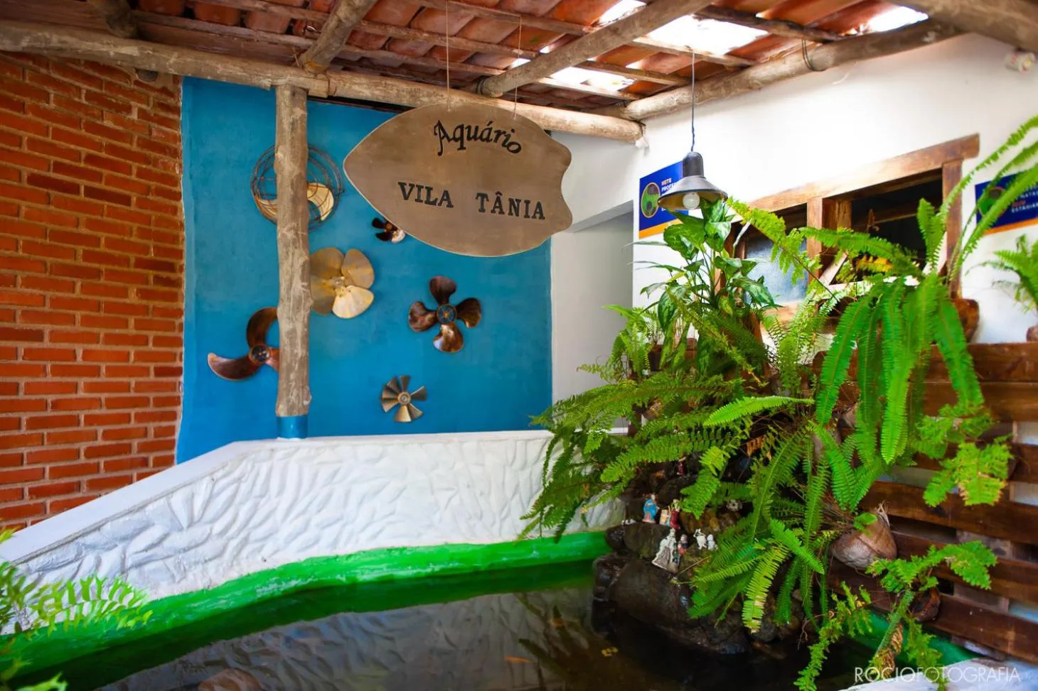 Animals, Bed in Pousada Estalagem Vila Tania