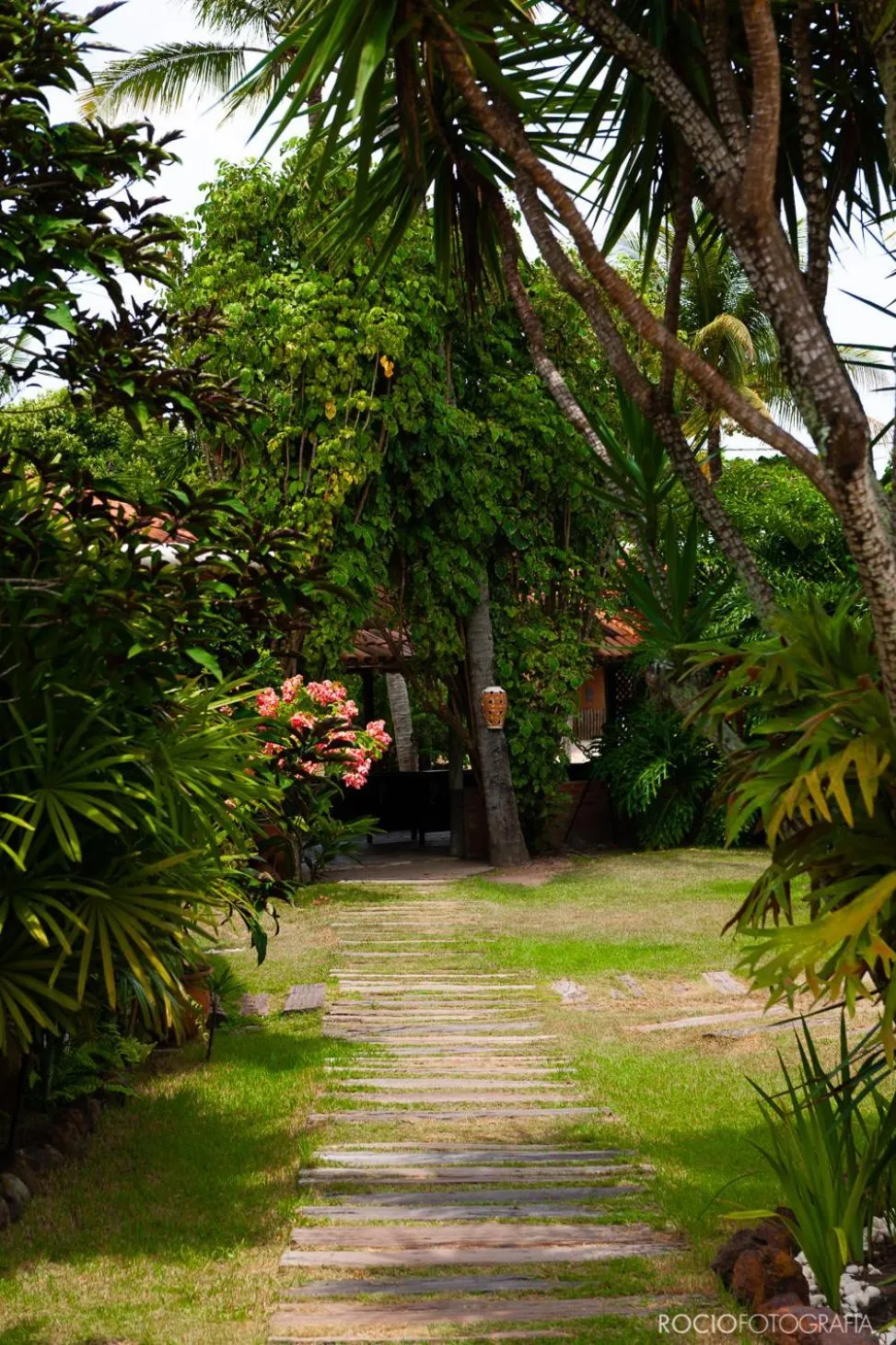 Garden view in Pousada Estalagem Vila Tania
