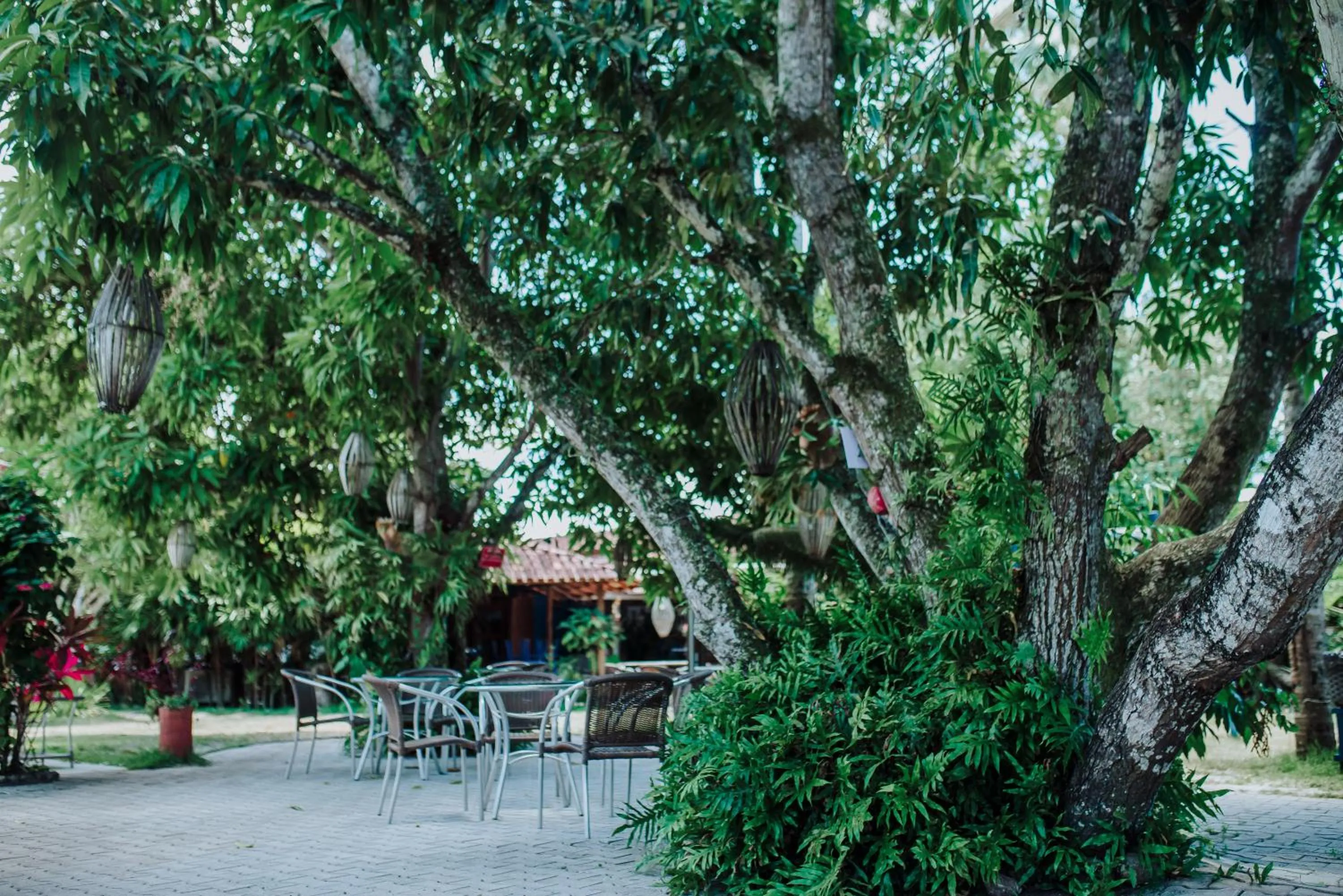 Restaurant/places to eat in Pousada Estalagem Vila Tania