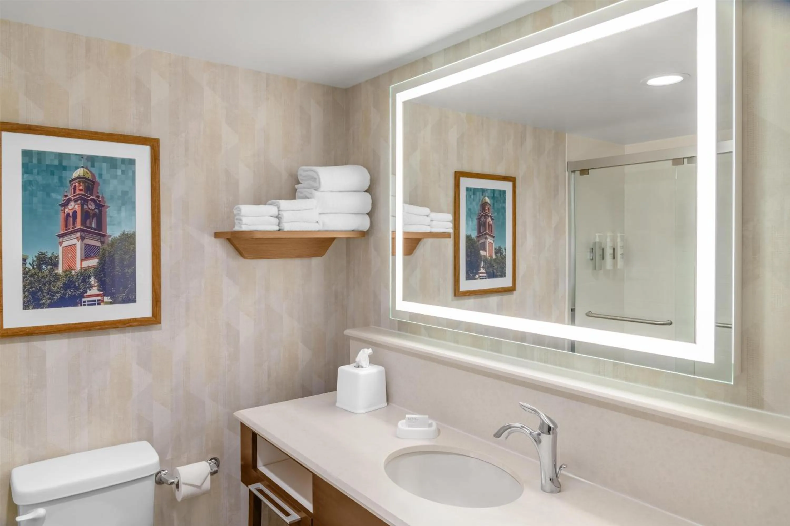 Bathroom in Hampton Inn Kansas City/Shawnee Mission