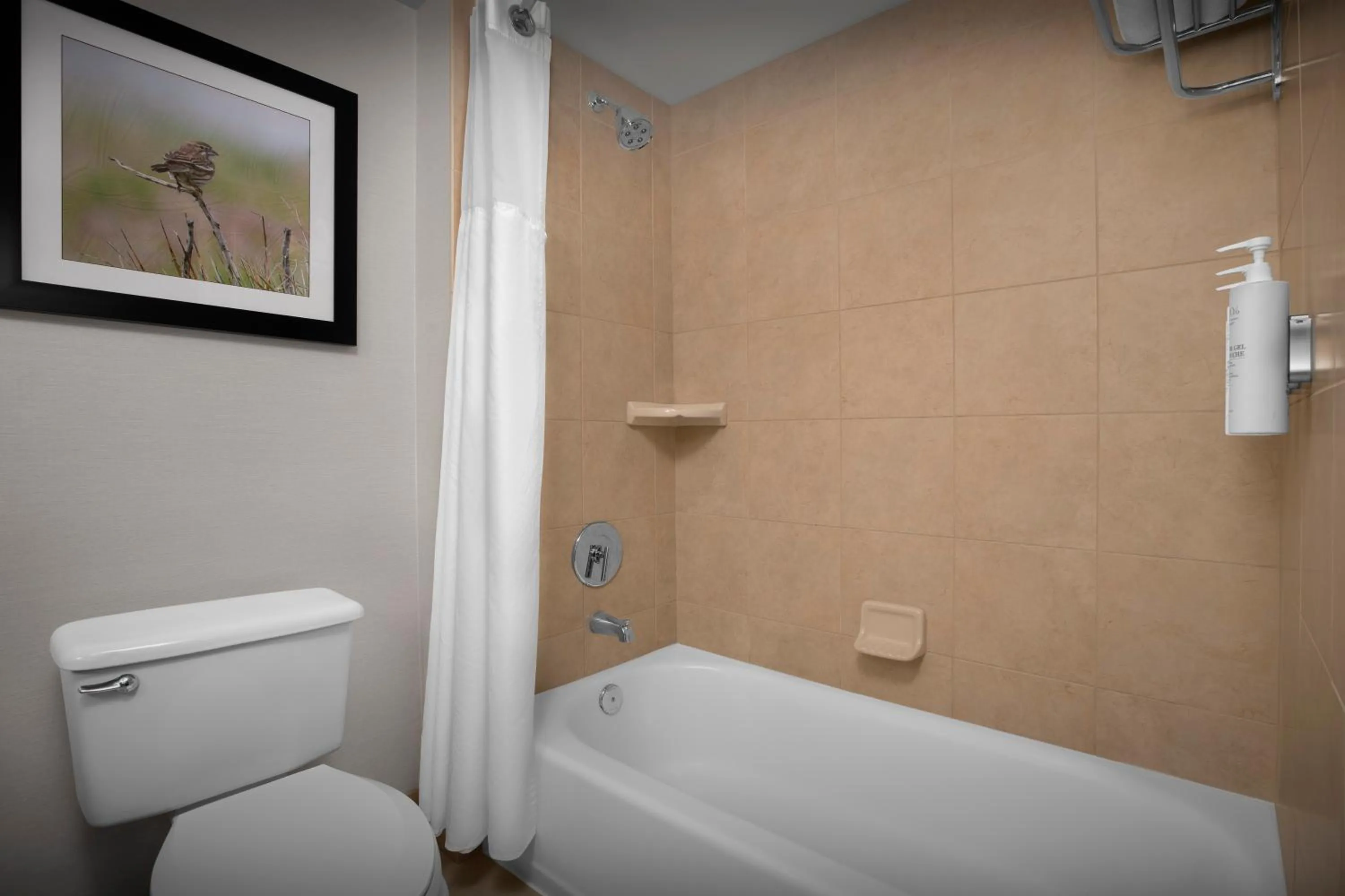 Bathroom in Hilton Garden Inn Denver Highlands Ranch