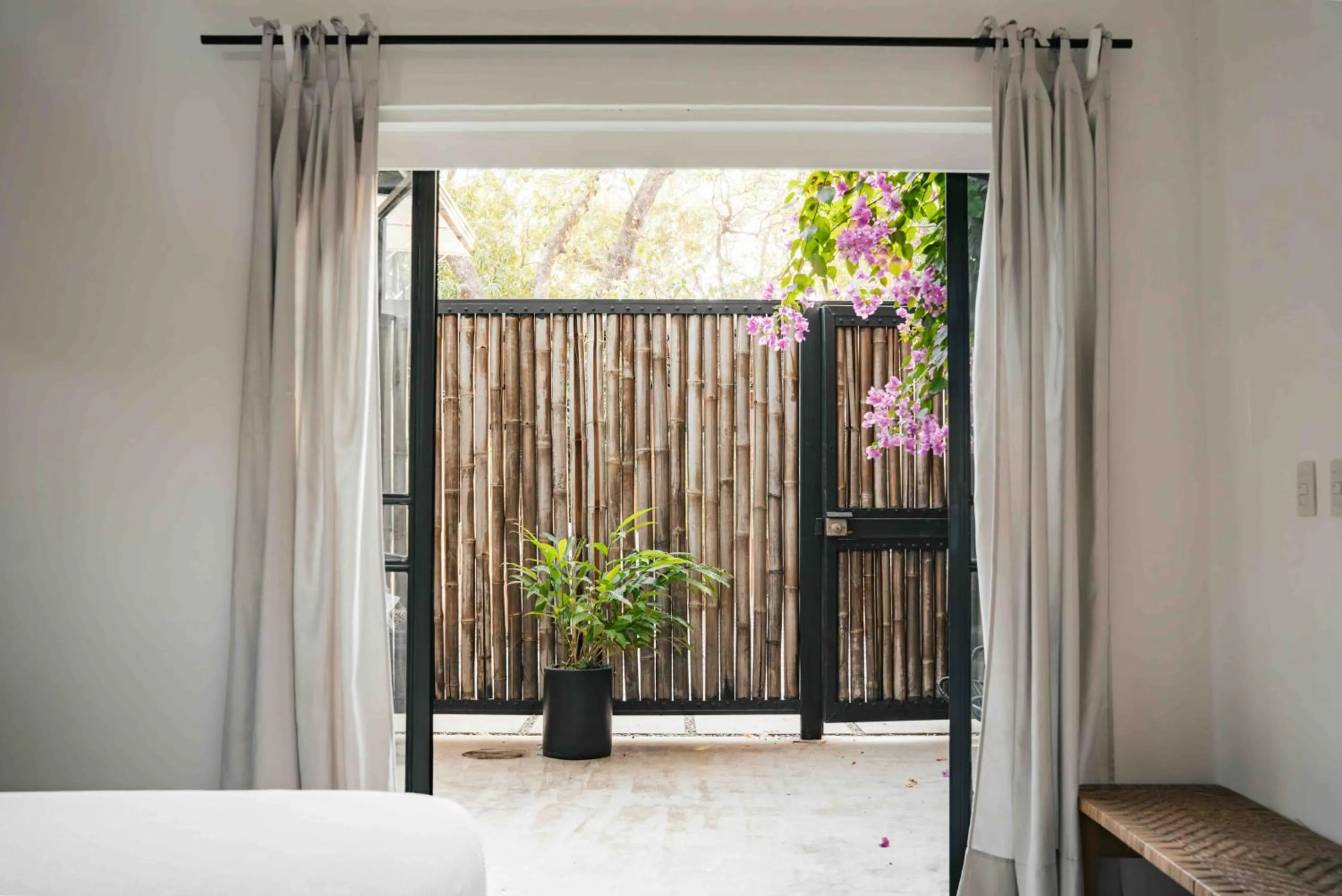 Bed in La Negra Surf Hotel